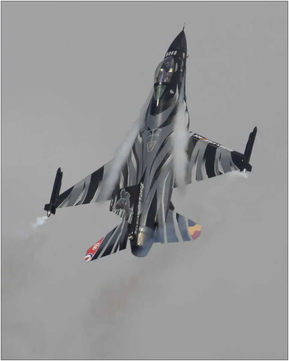 Entry 7120341