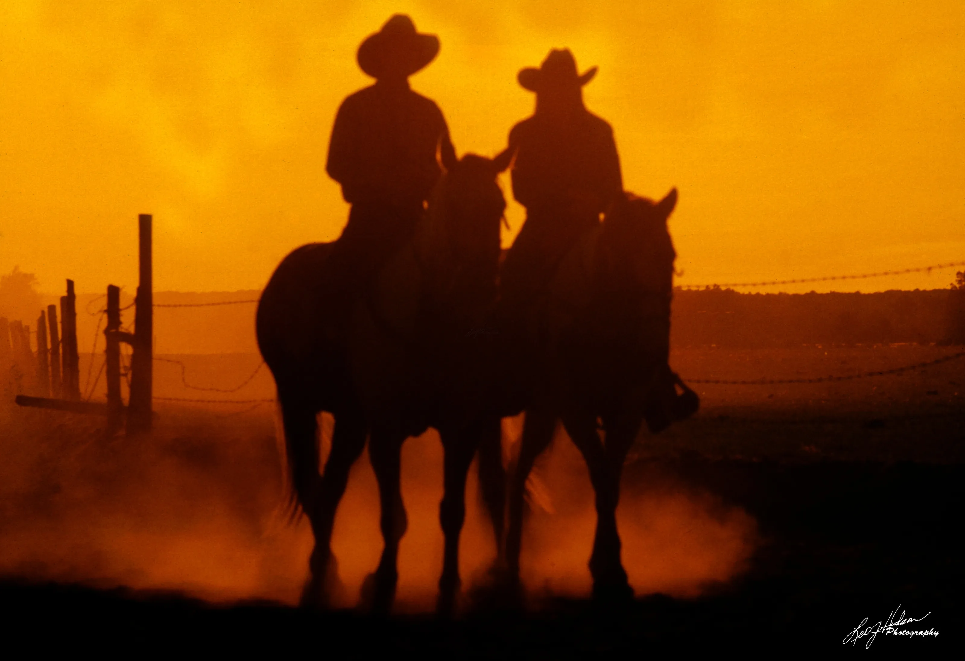 Sunset Silhouette