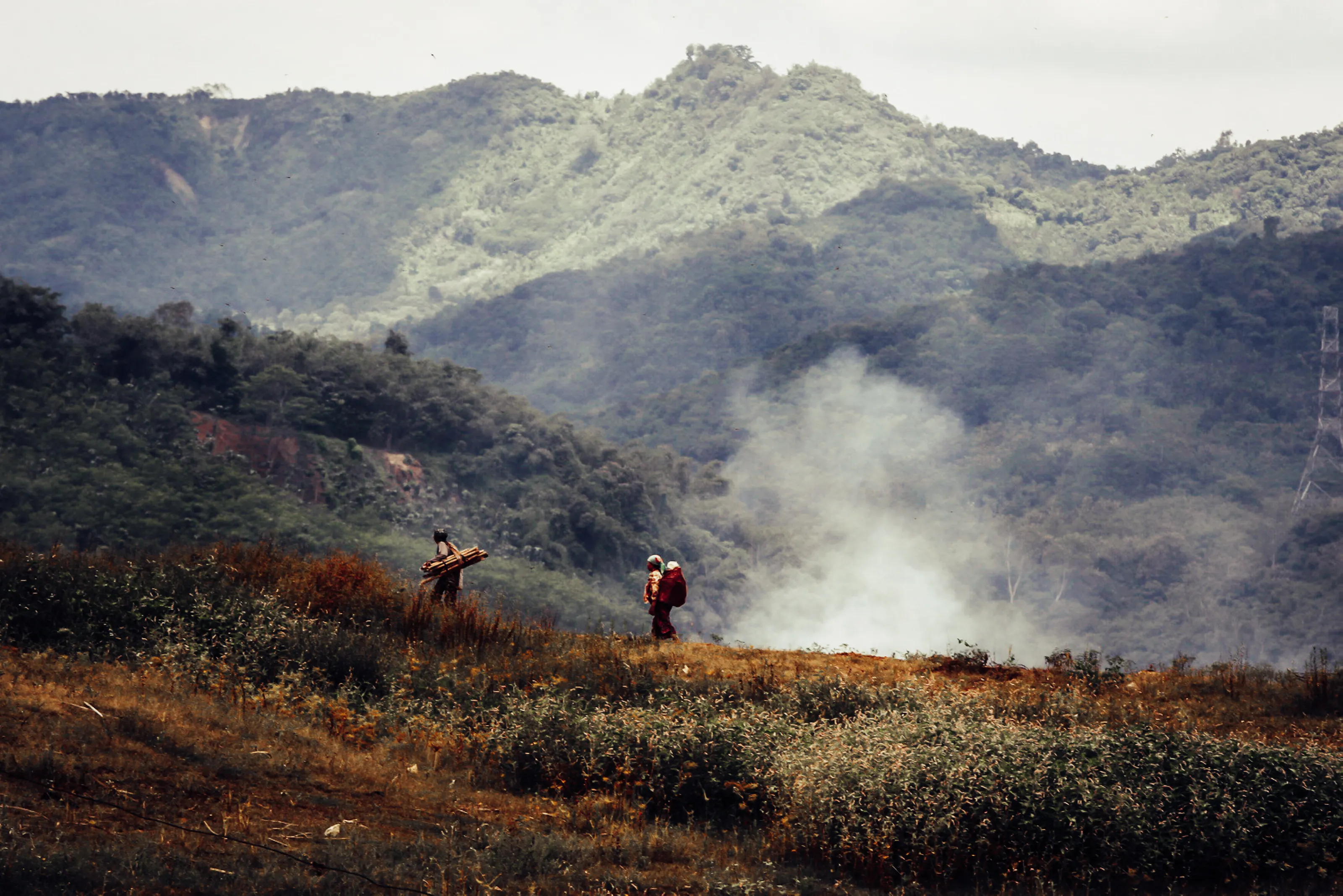 Through the Valley