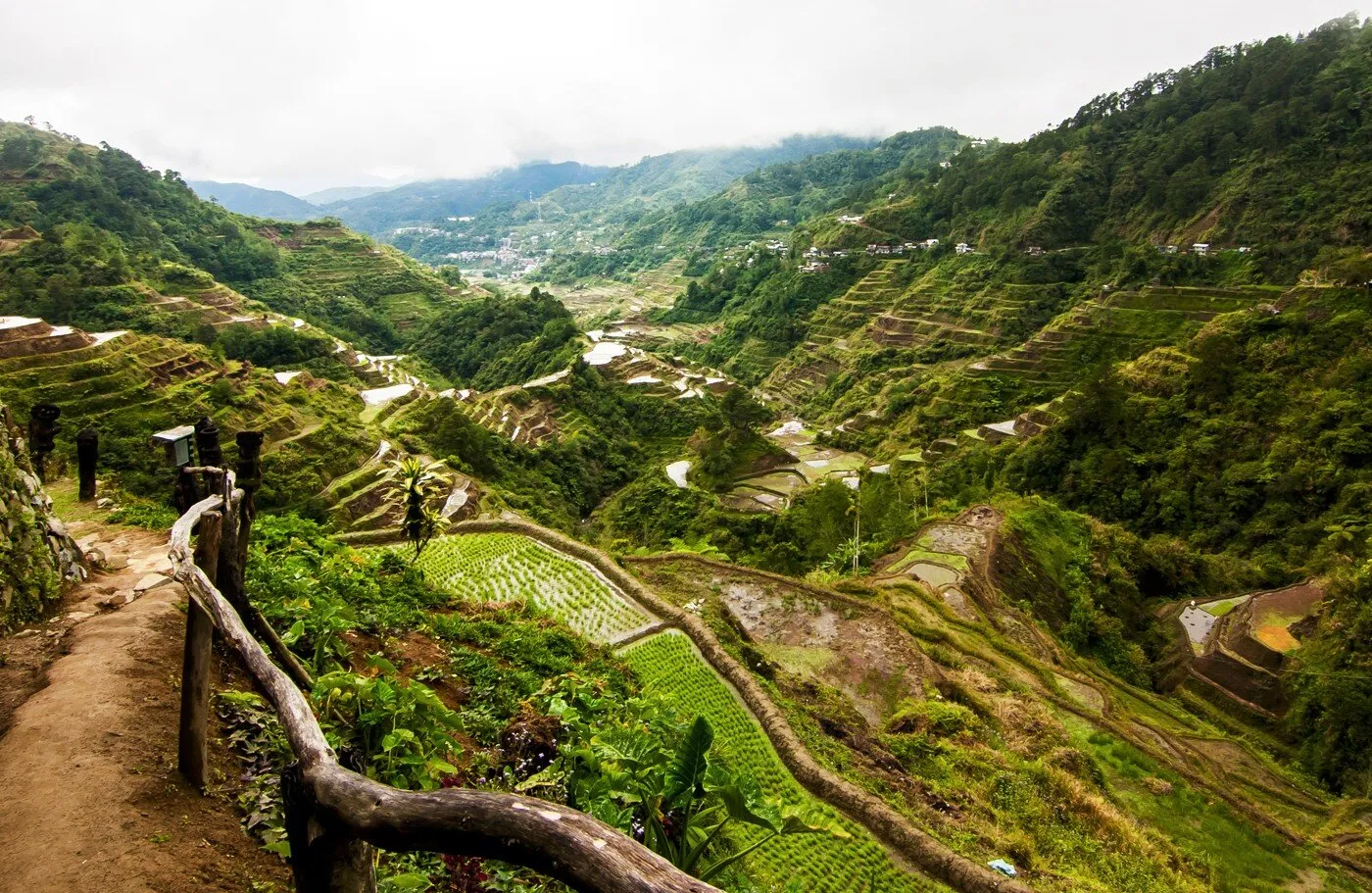 Banaue Rice Terraces