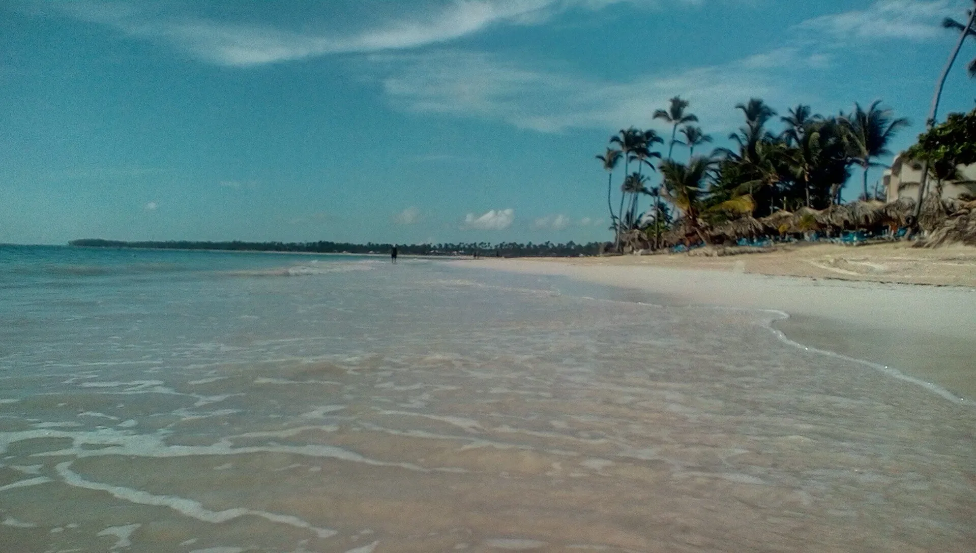 The Beach