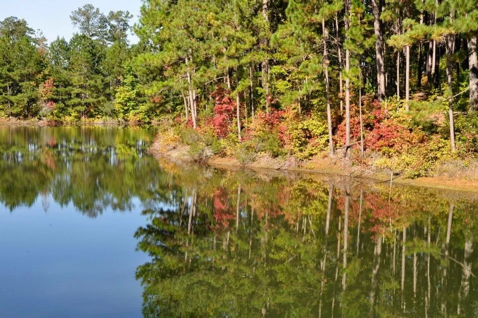 Camp Reflection