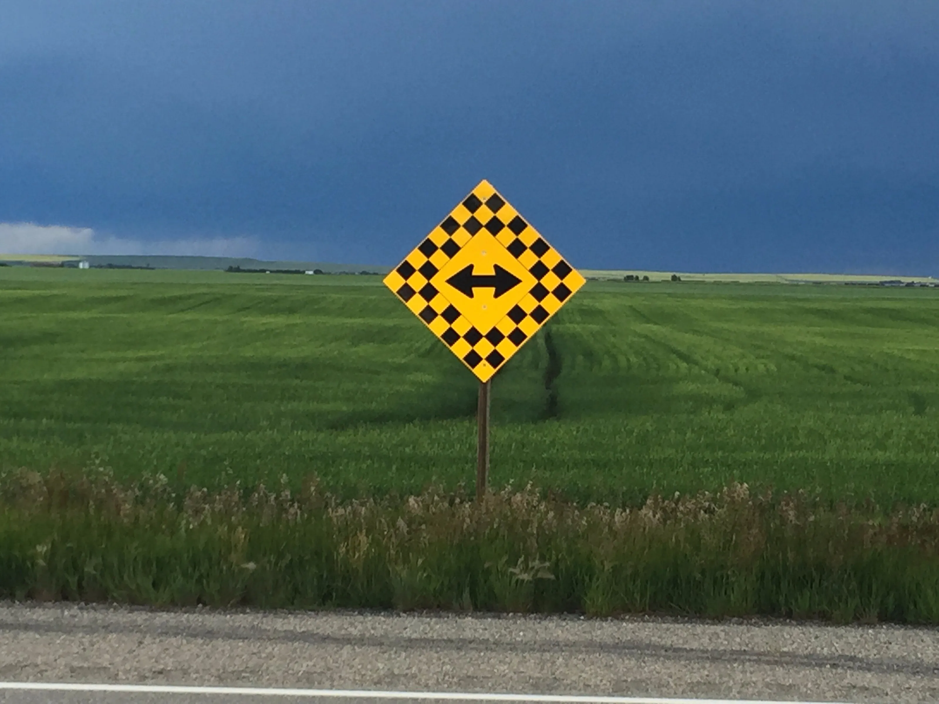 Which Way Do We Go?