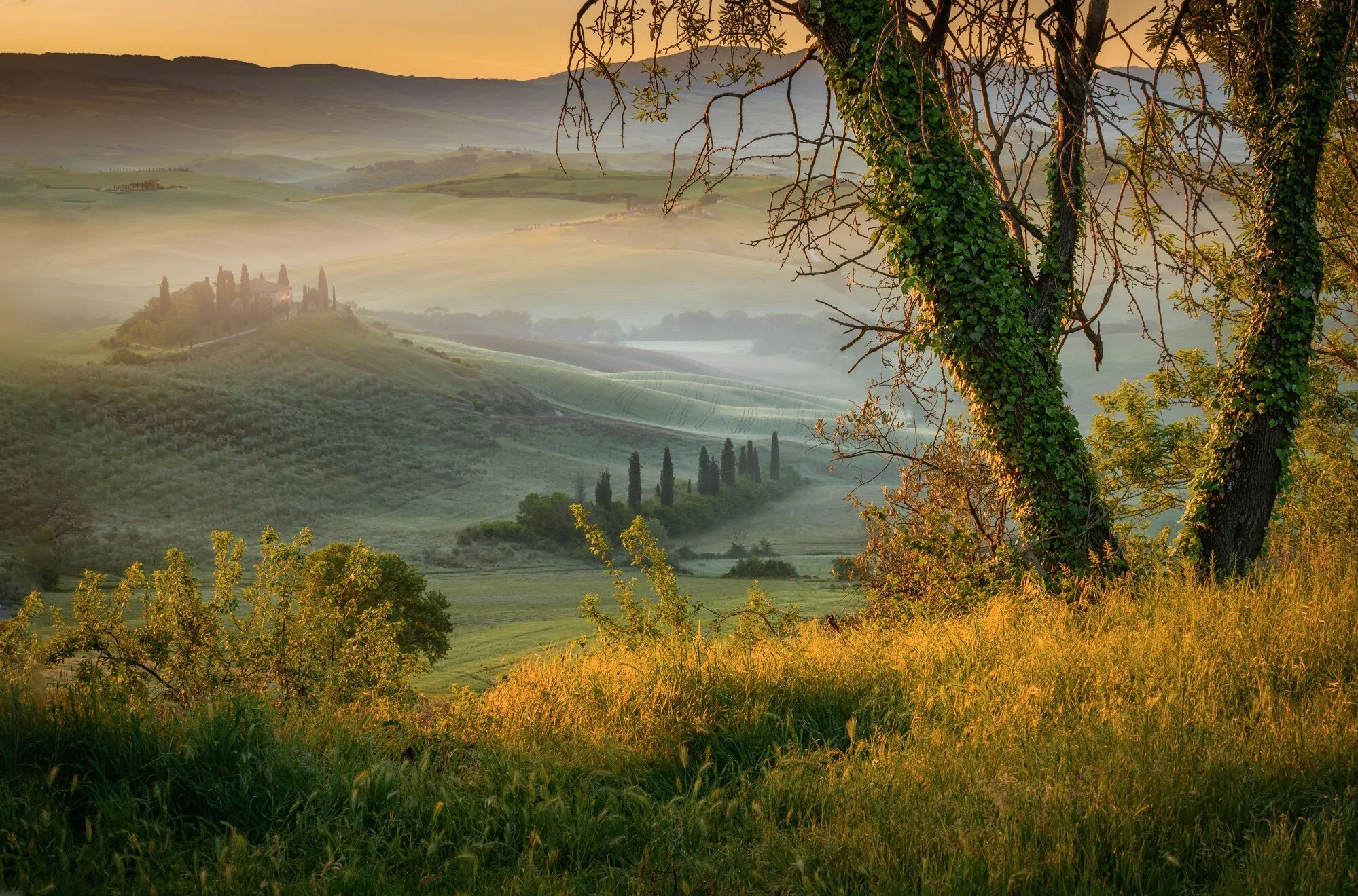 Misty morning in Tuscany...
