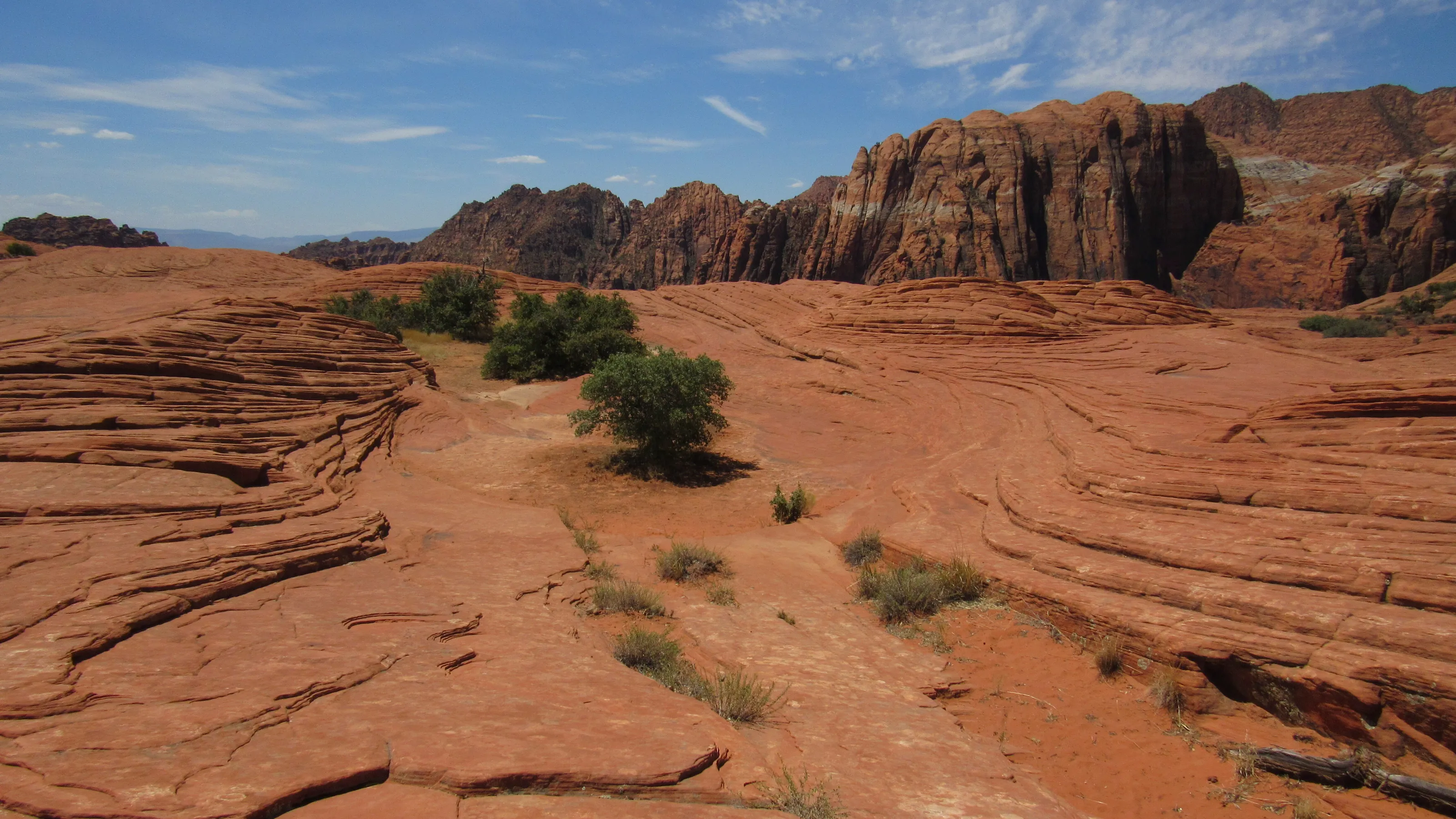 red rock