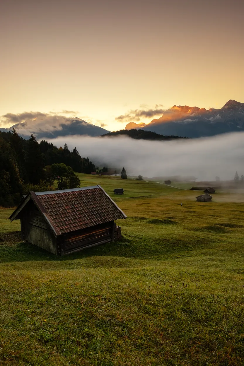 Entry 4254509