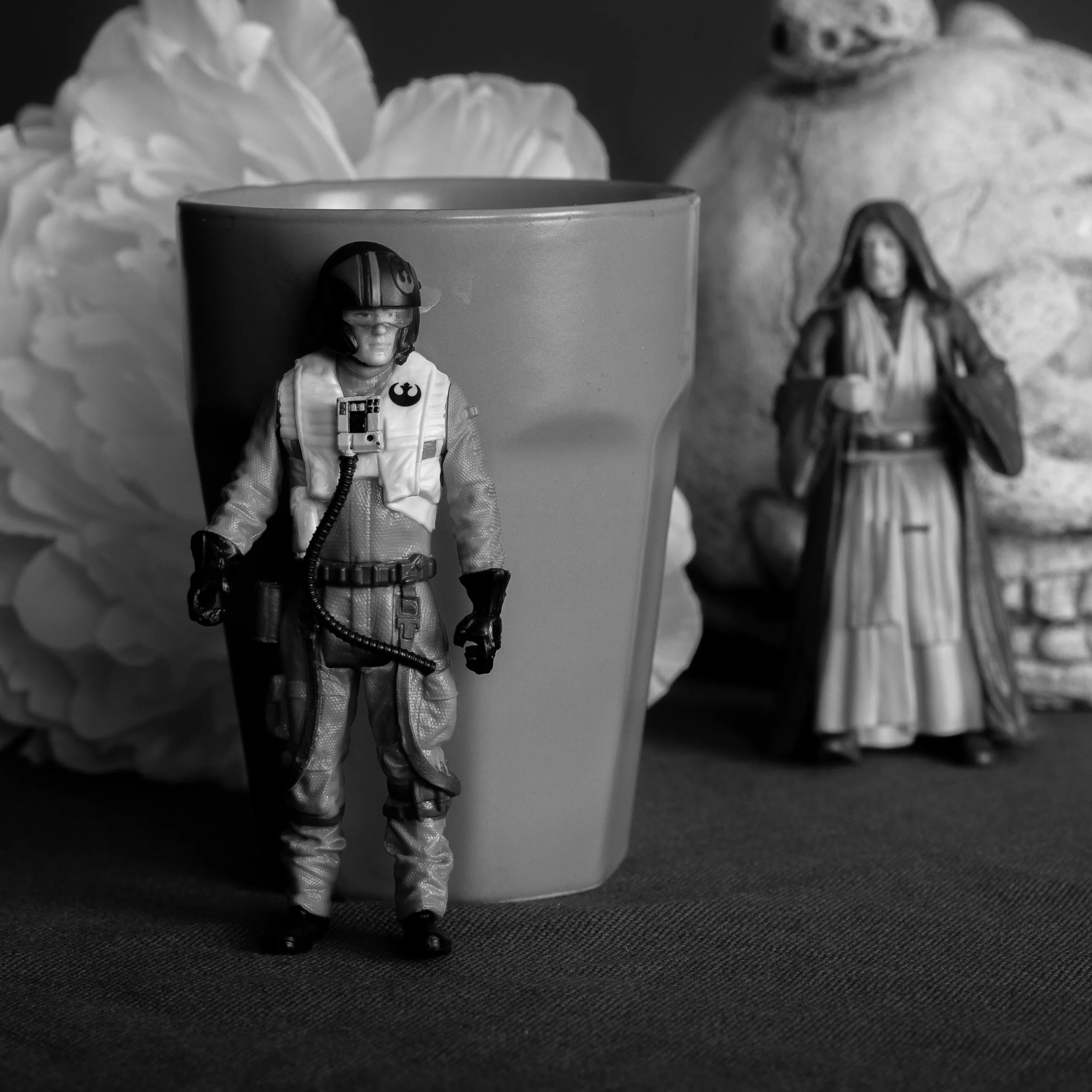 still life with rebel