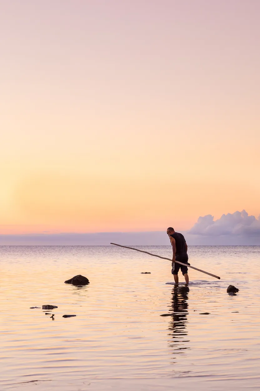 Entry 4067009