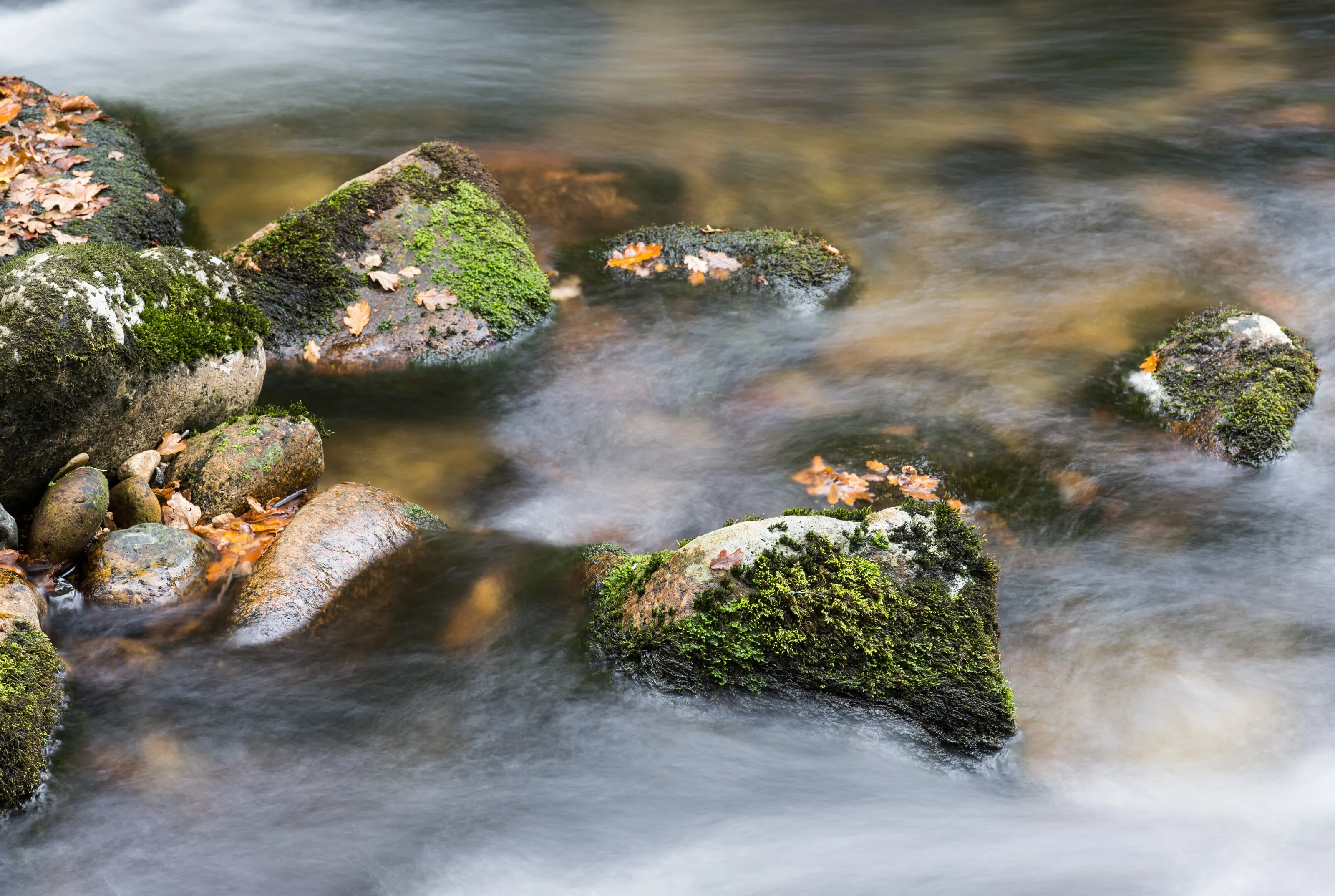 Stones in the Teign