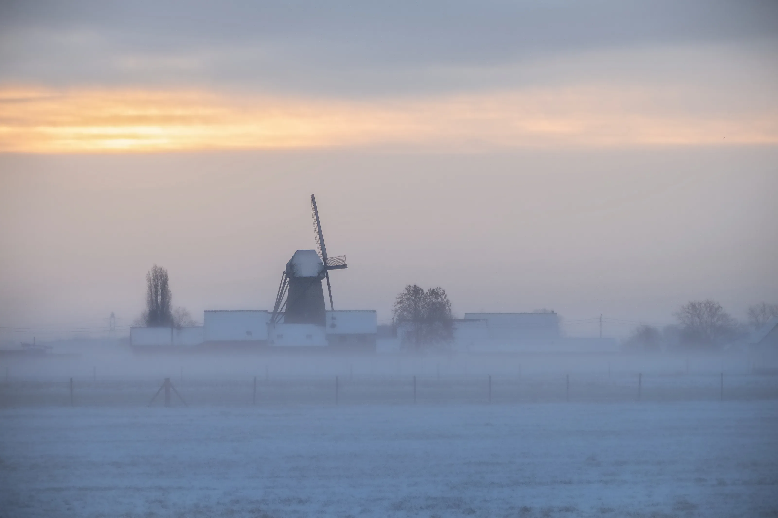 misty morning