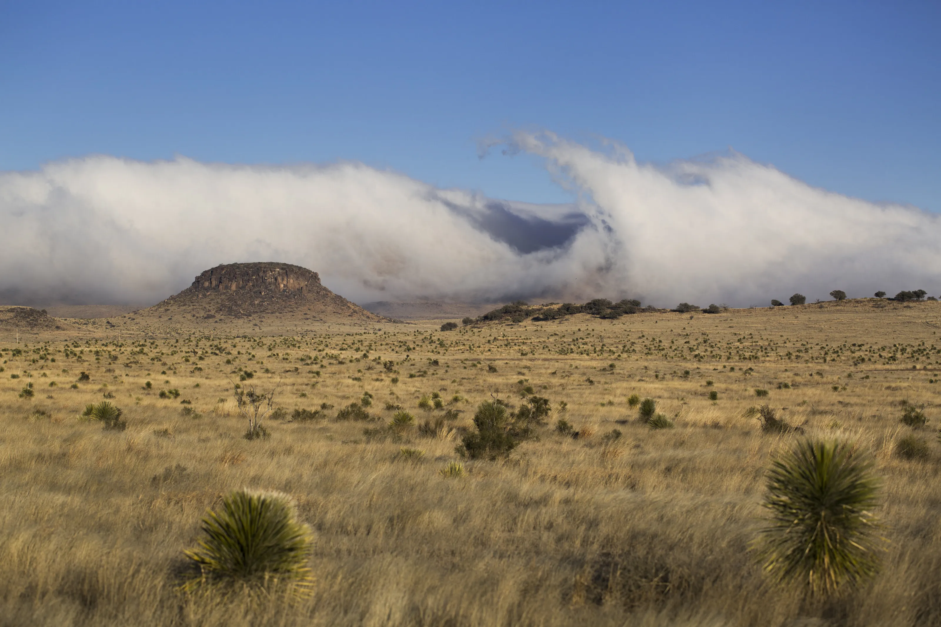 West Texas Weather