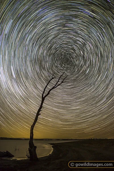 Reach for the Stars