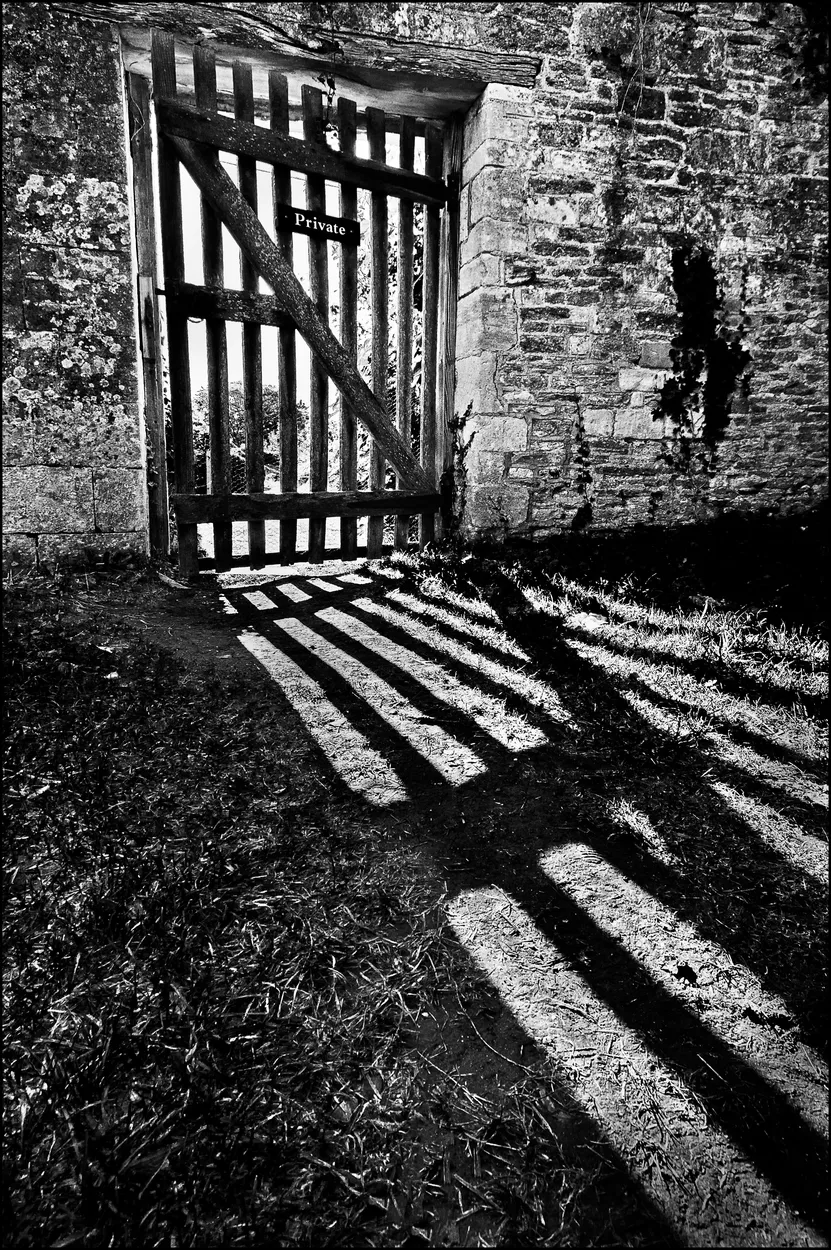 Entry 2219584