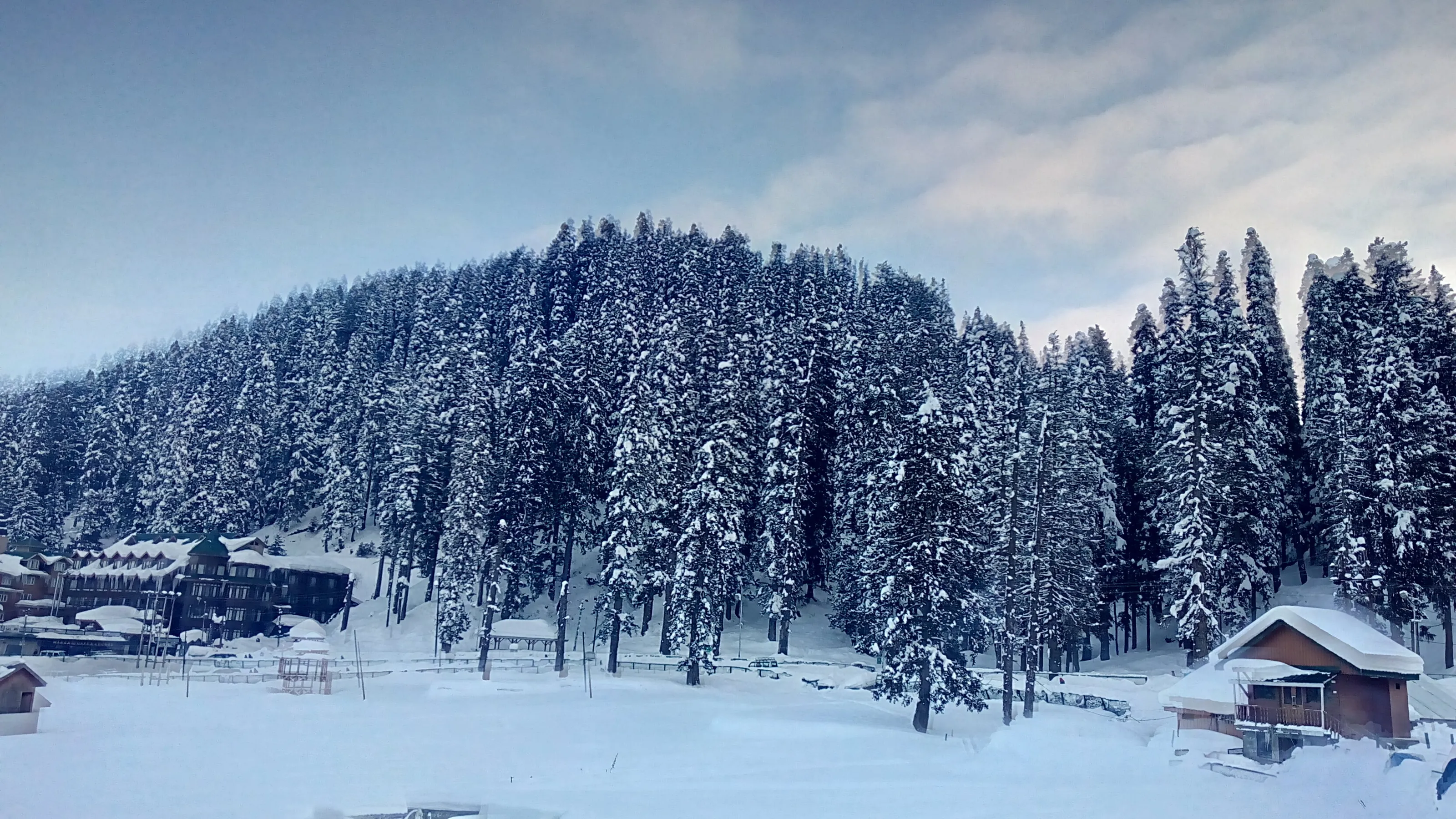 Snow covered landscape