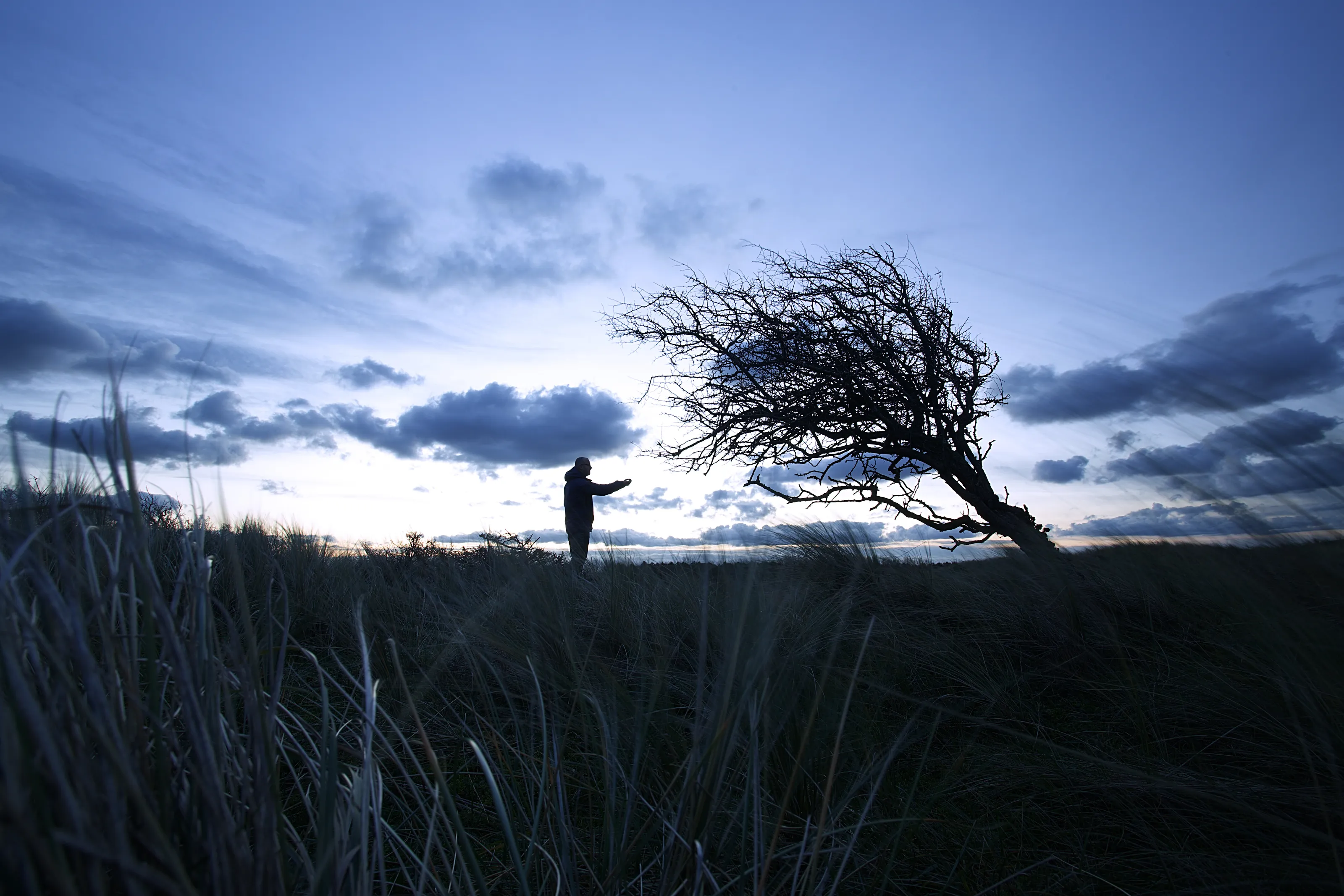 Connection between human and nature