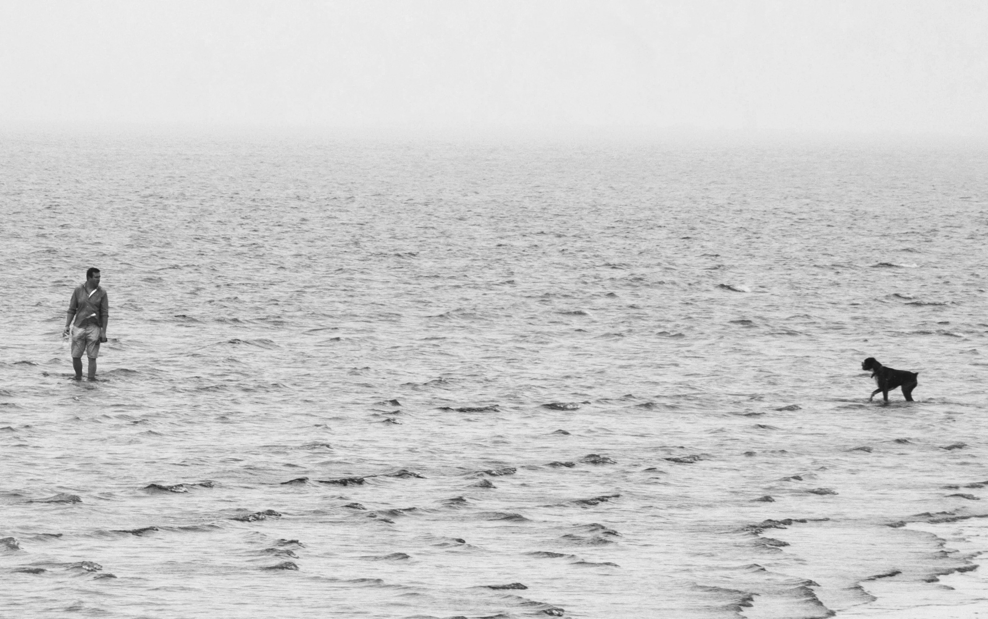 Man and his dog out to sea...