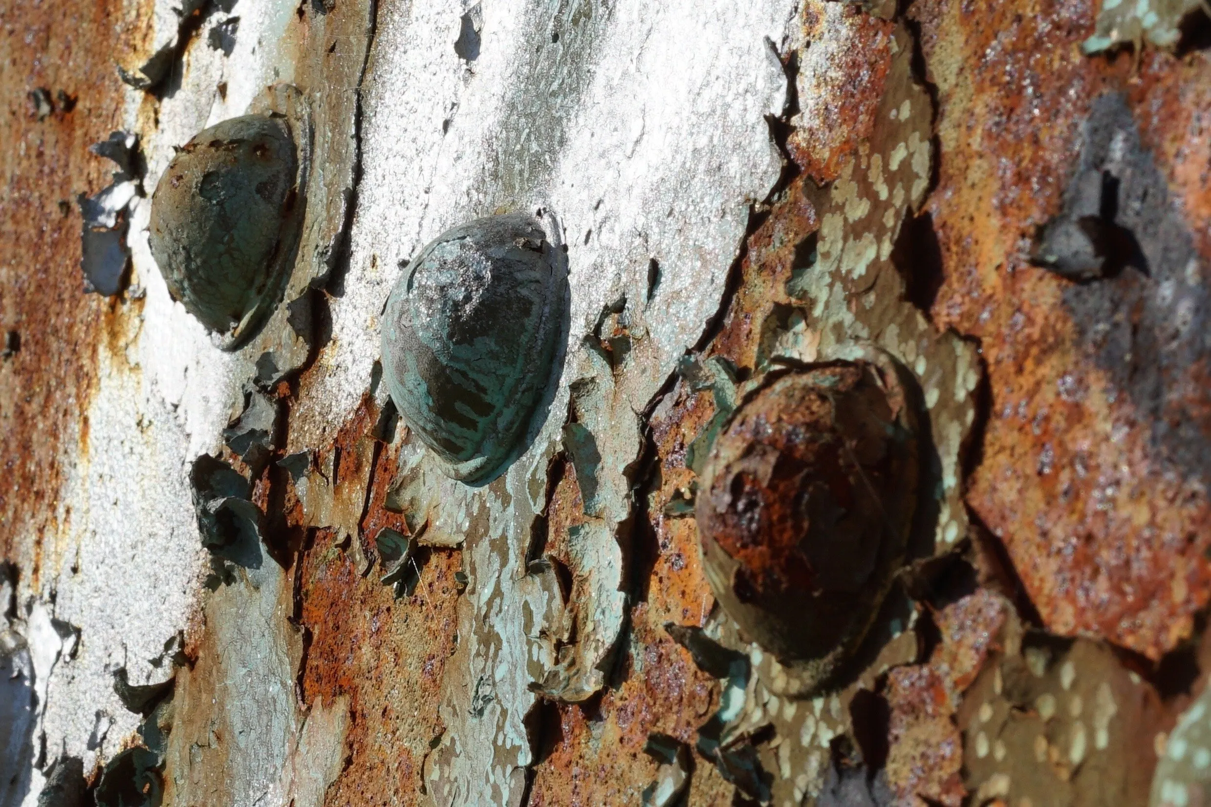 Texture