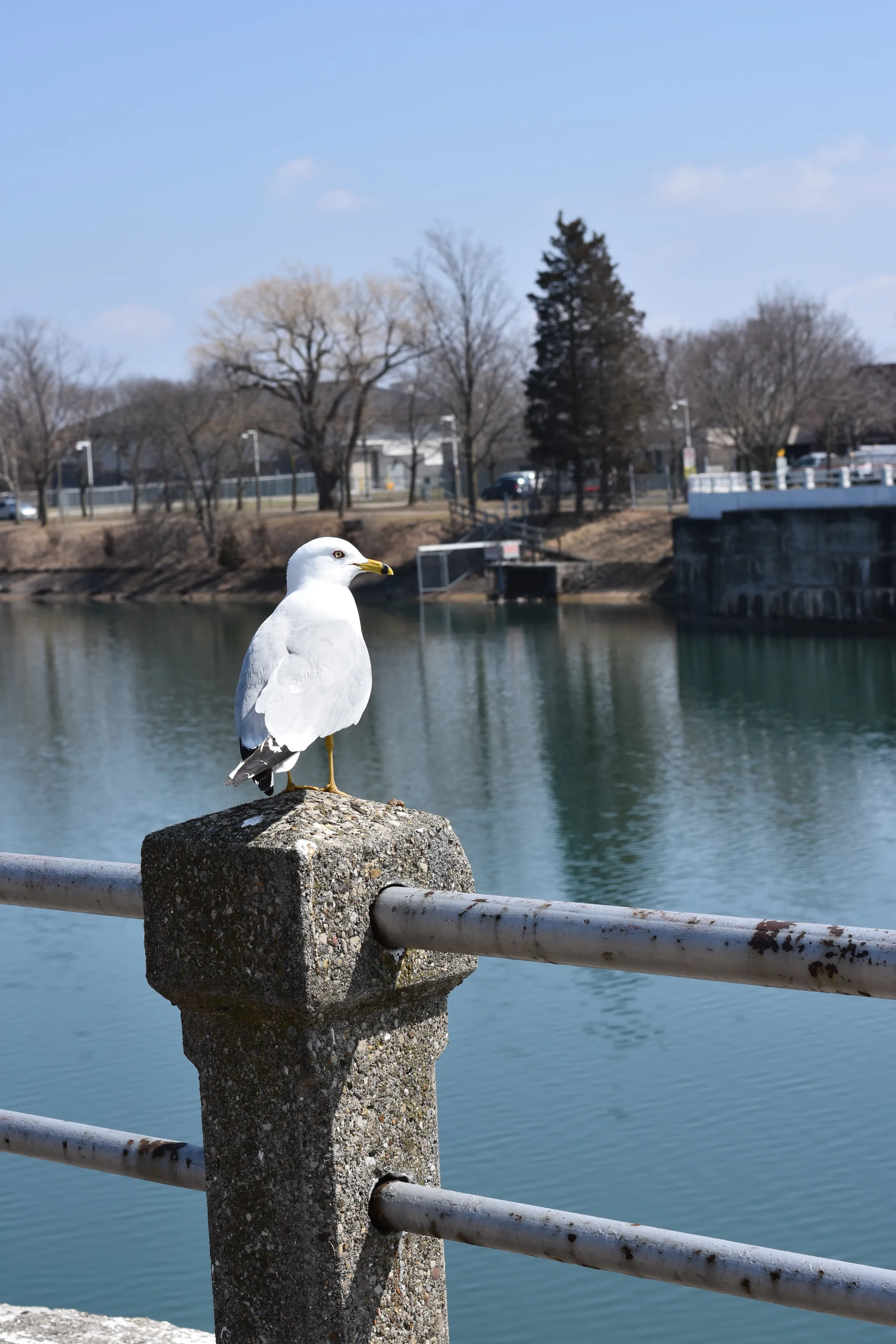 Vantage Point