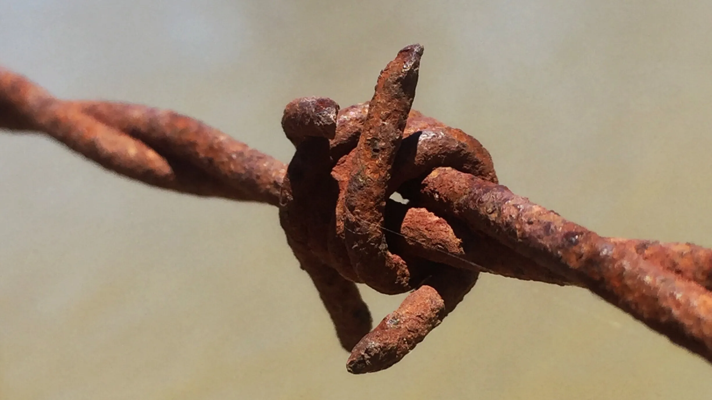 Rusty Barb Wire
