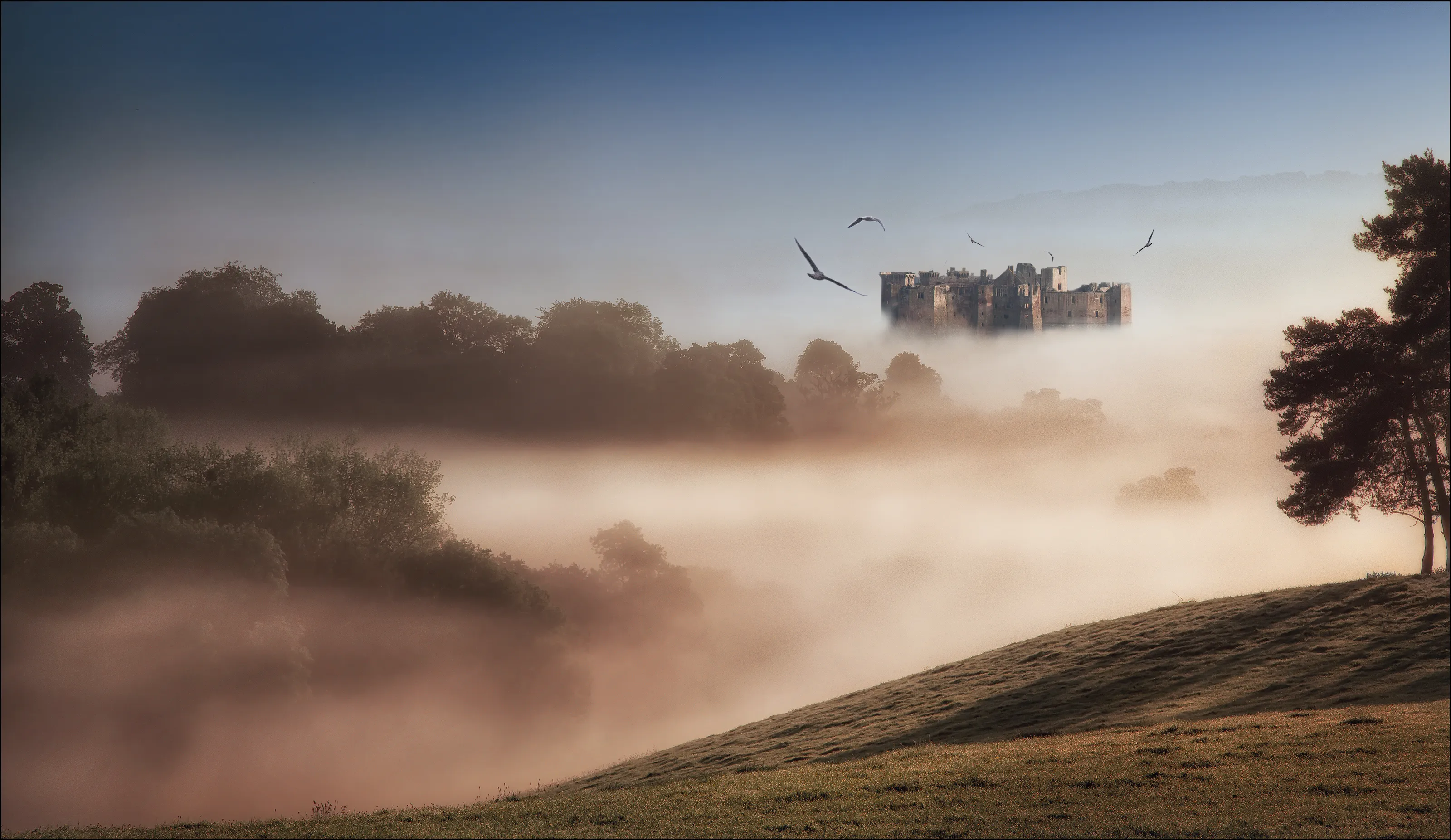 Misty Camelot