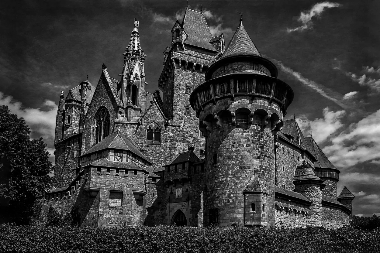 Entry 3923884