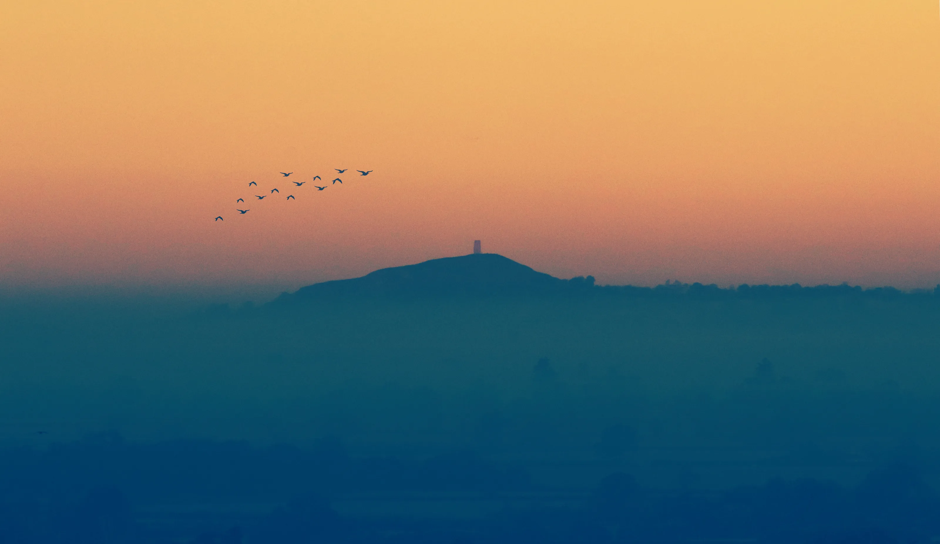 Misty Morning Flight