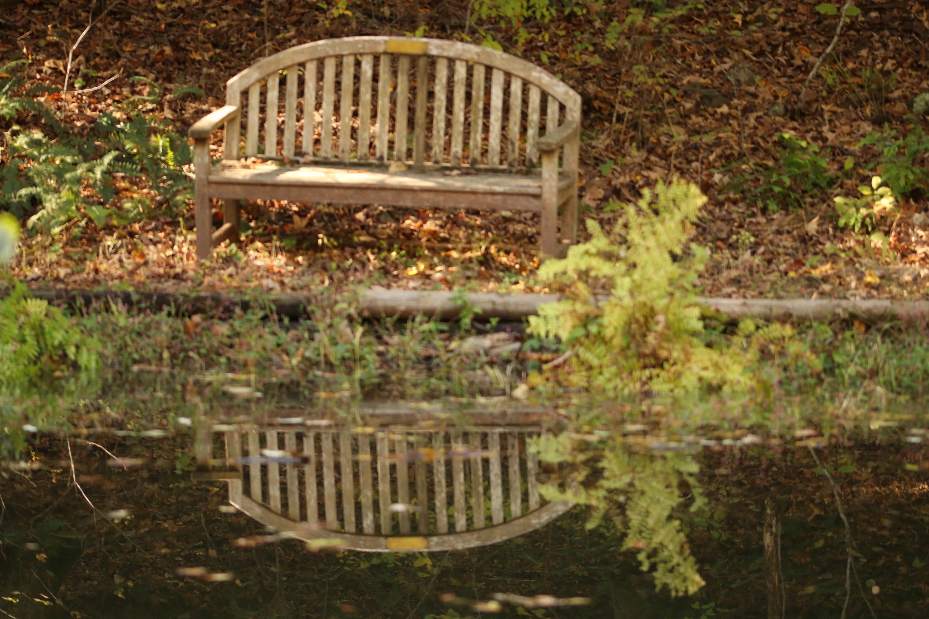 Lonely Bench
