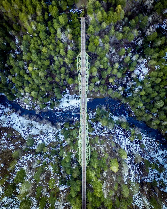Above Vance Creek Bridge