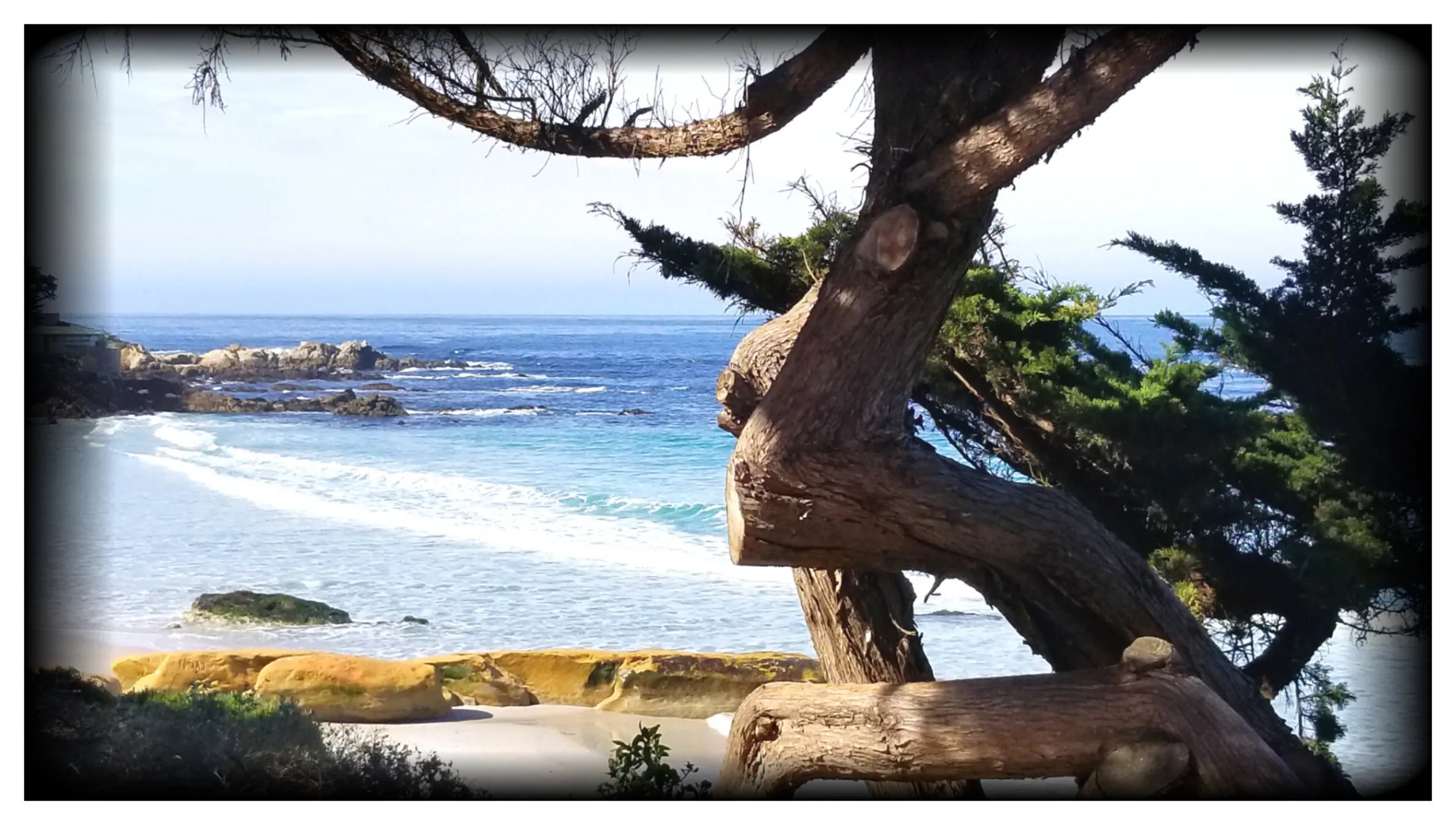 Carmel Coast