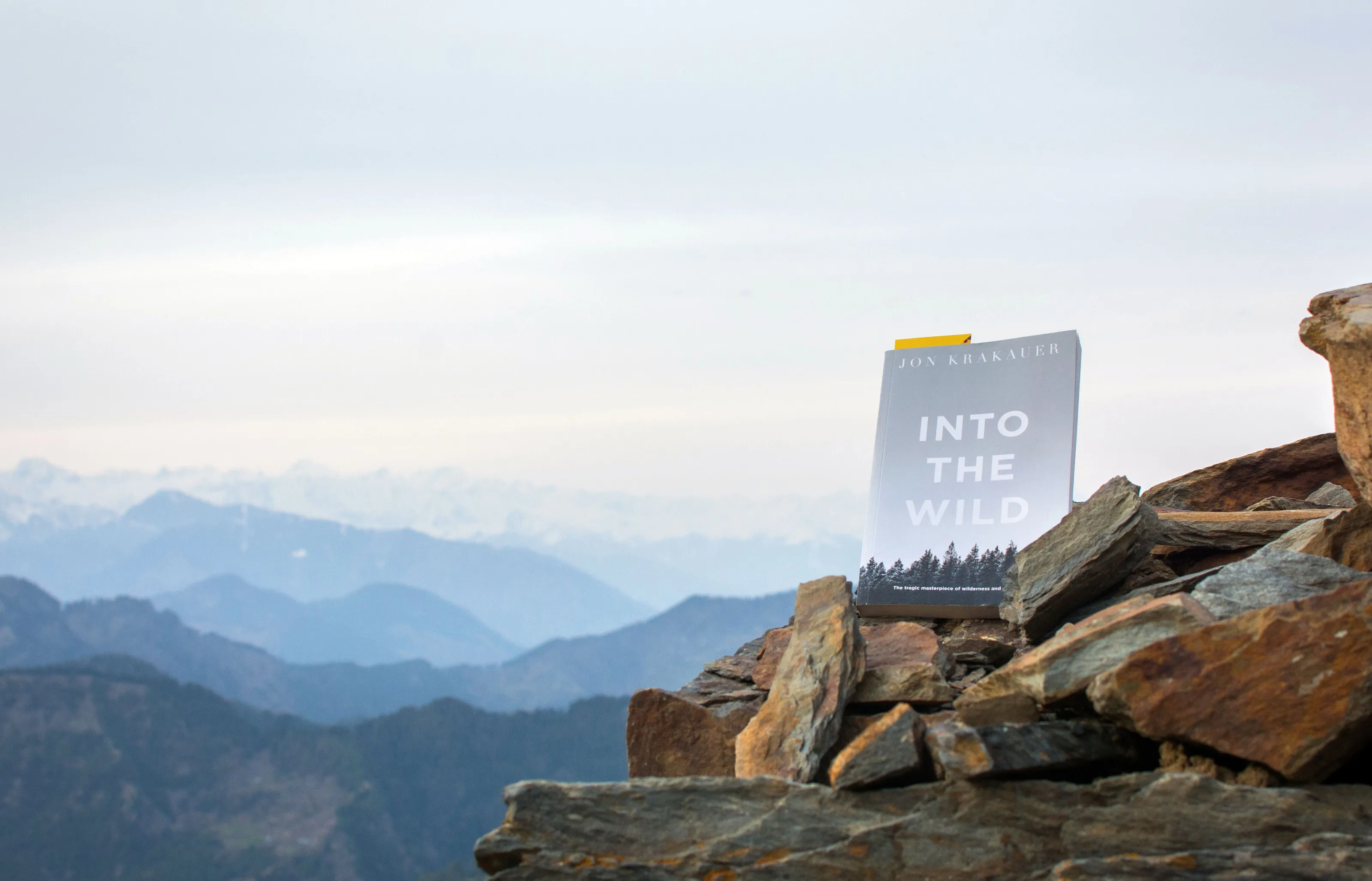 Into the wild