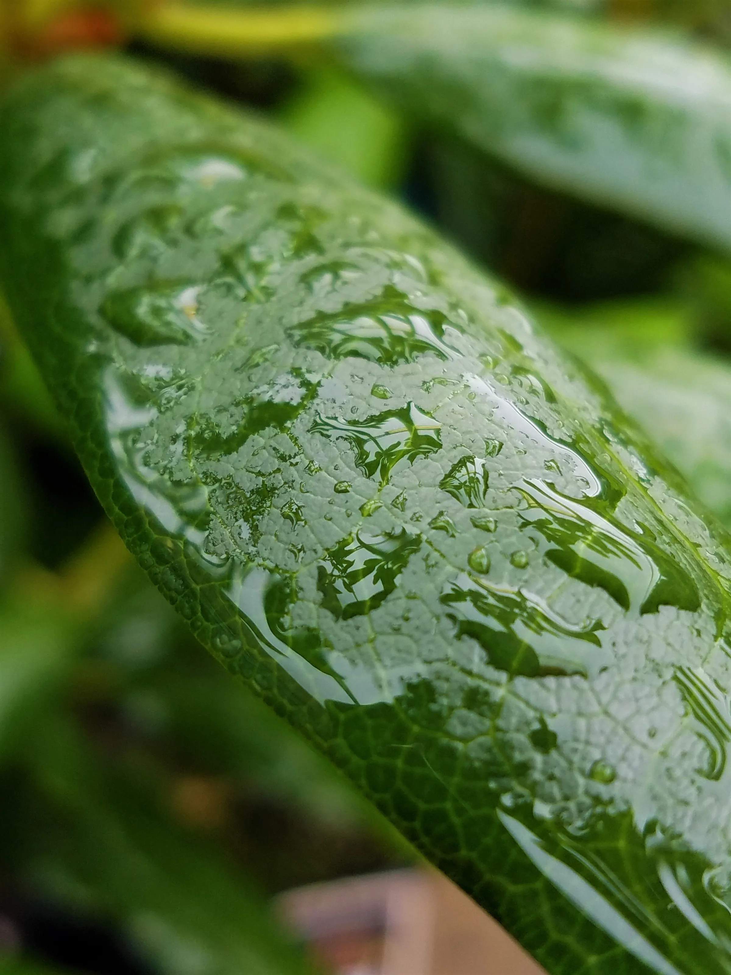 Droplets