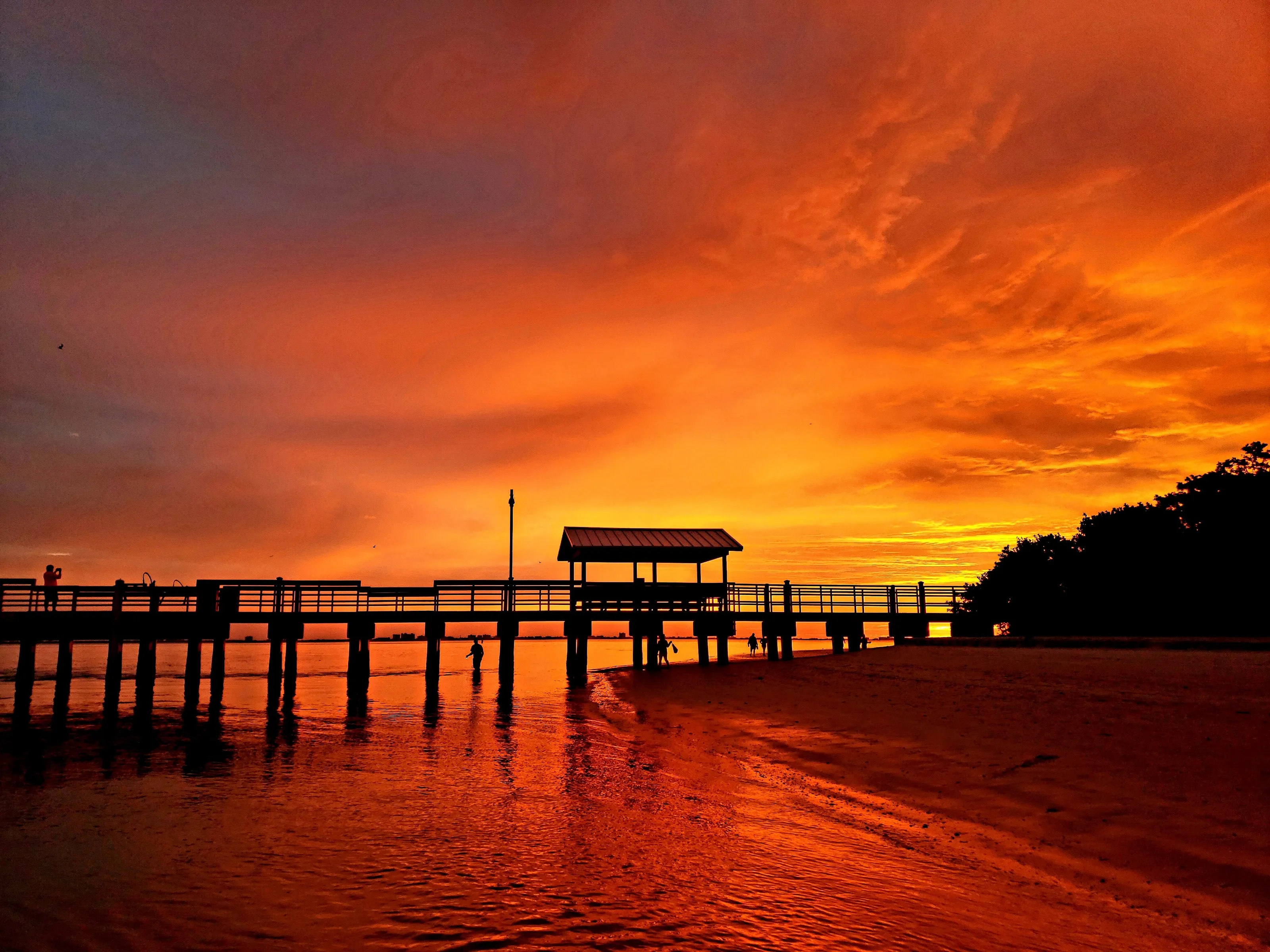 Sanibel Sunrise