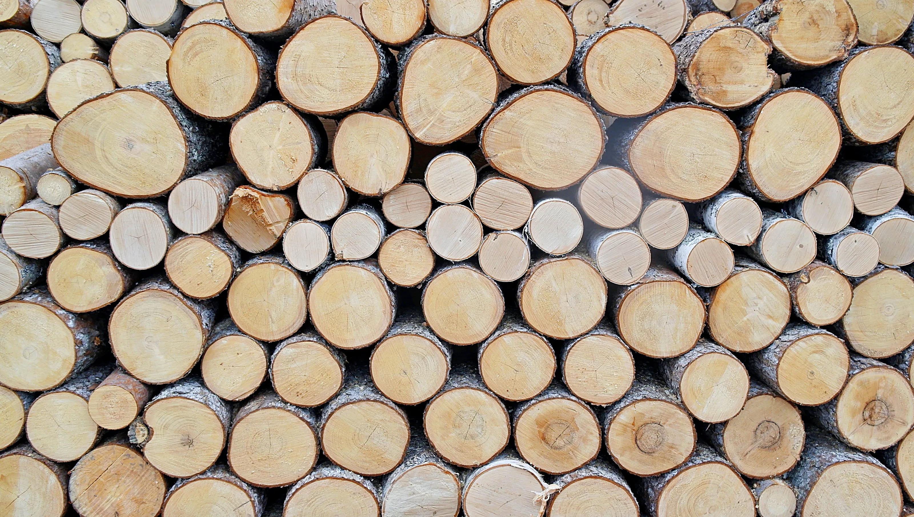 Firewood