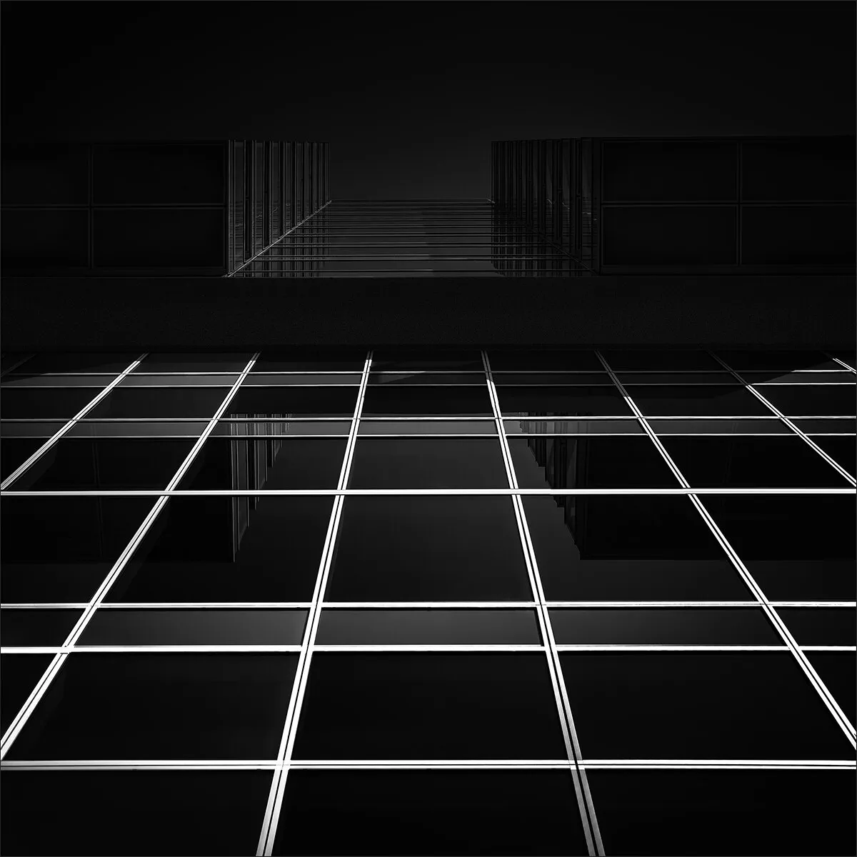 Entry 4022017