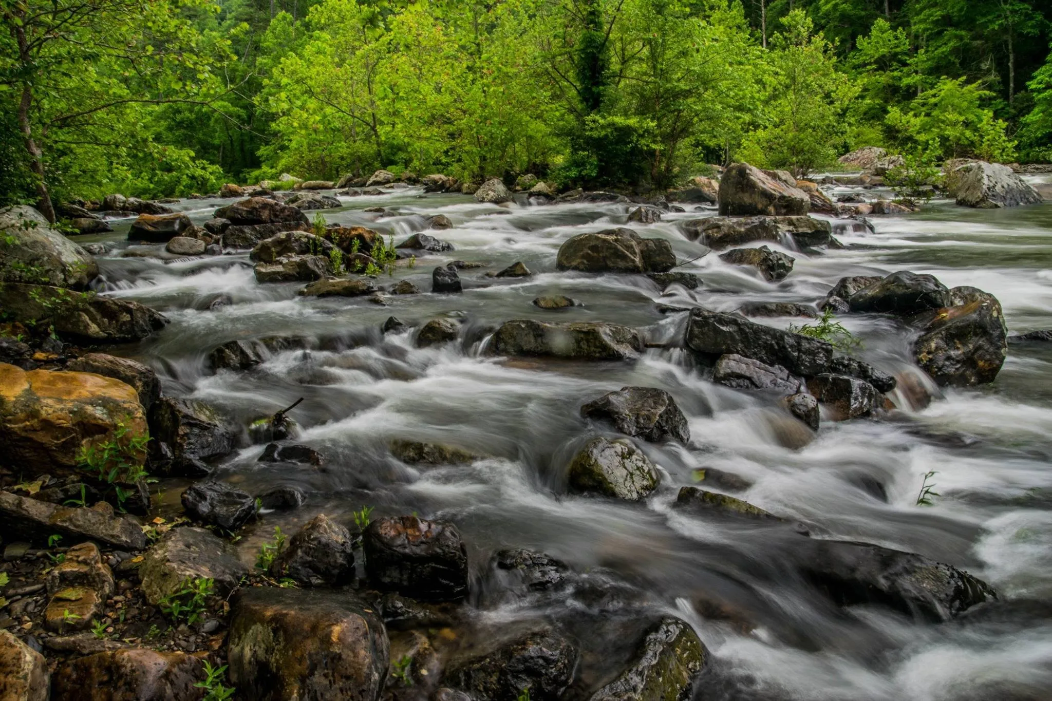 Rushing