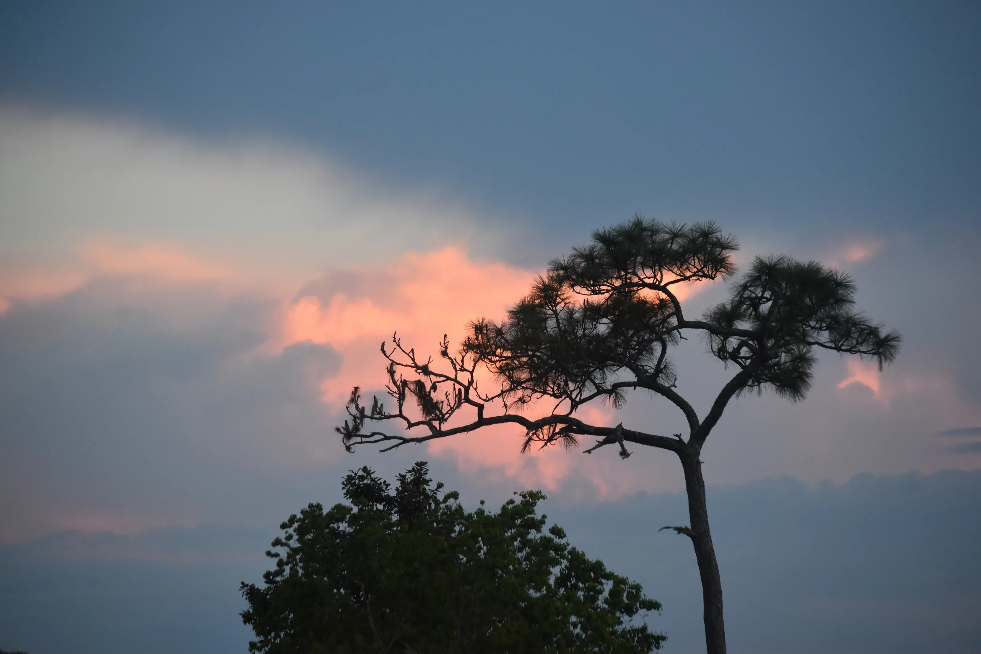 Cotton Candy Sunset