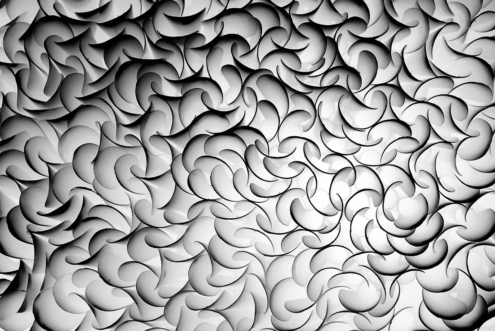 Mind Curves