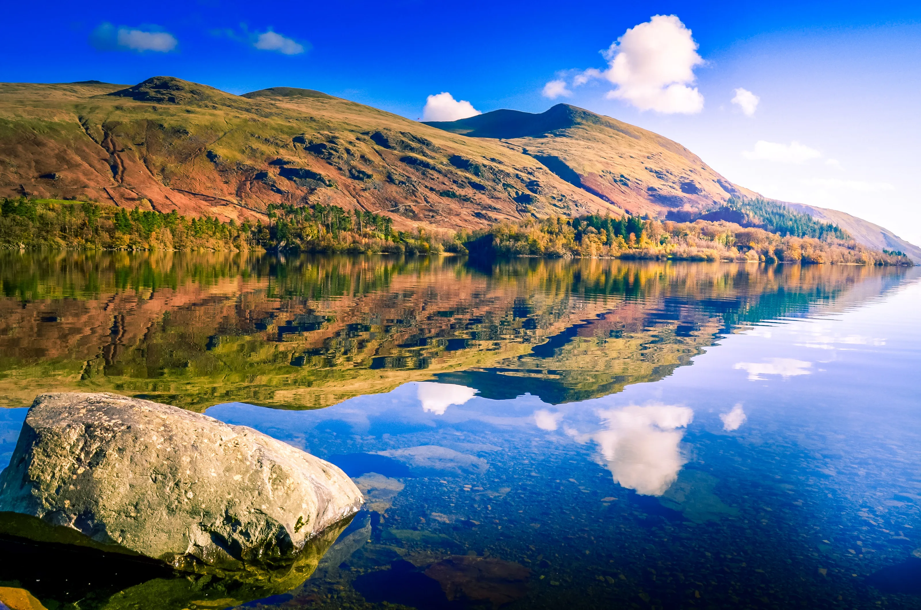 Thirlmere Glory