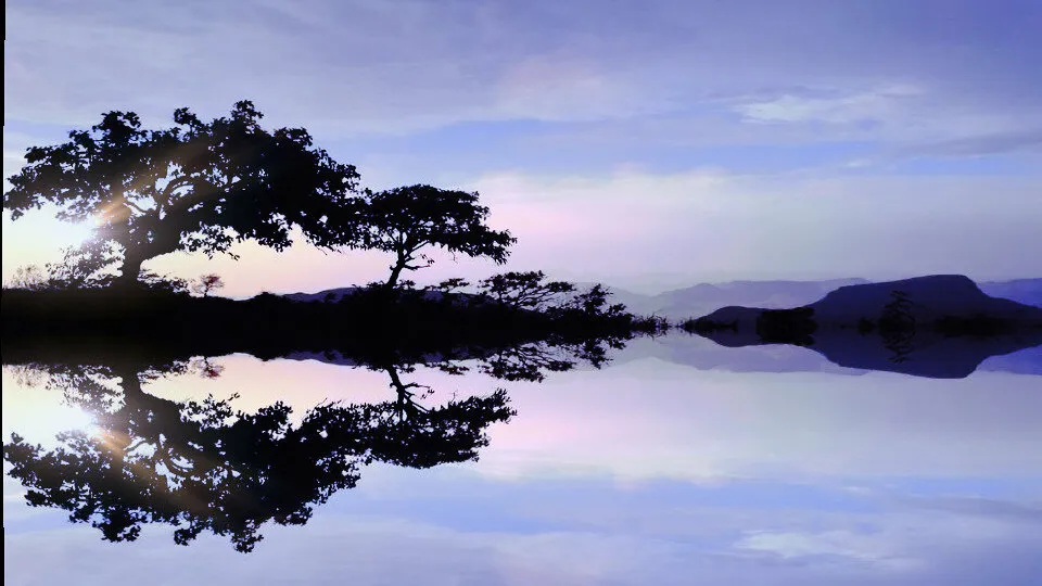 Reflection