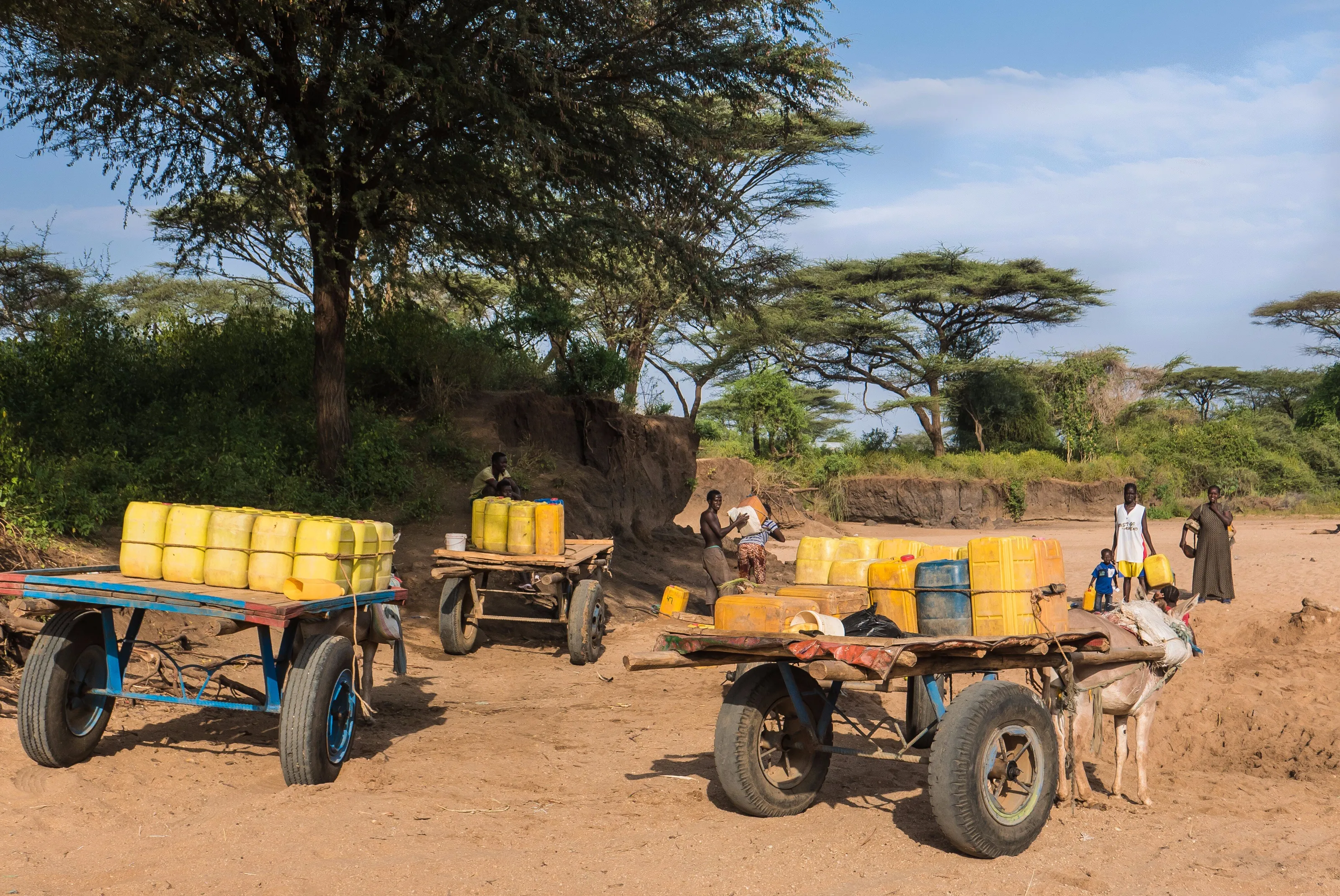 Ethiopian drought