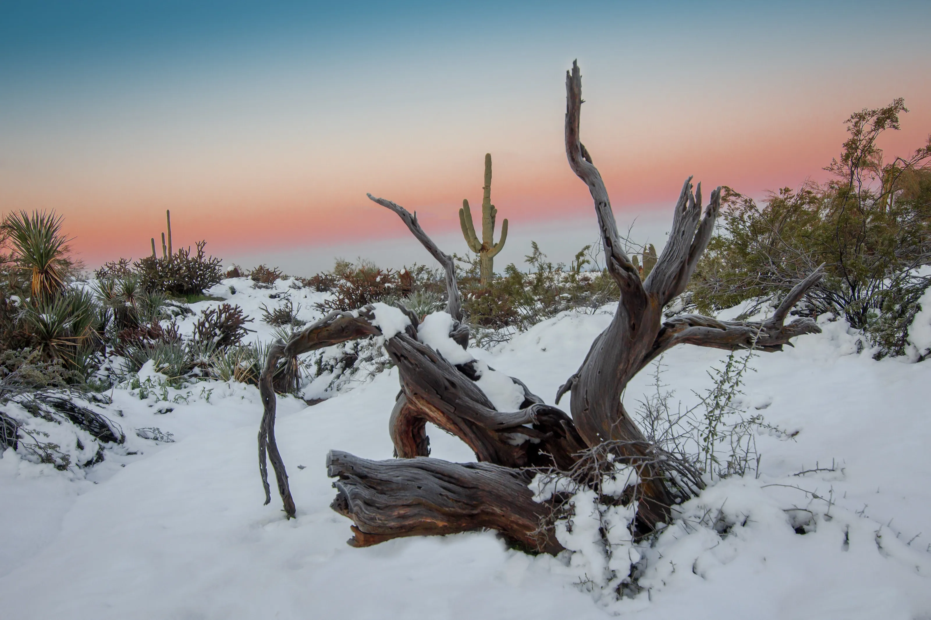 Snow in the Sonoran Desert
