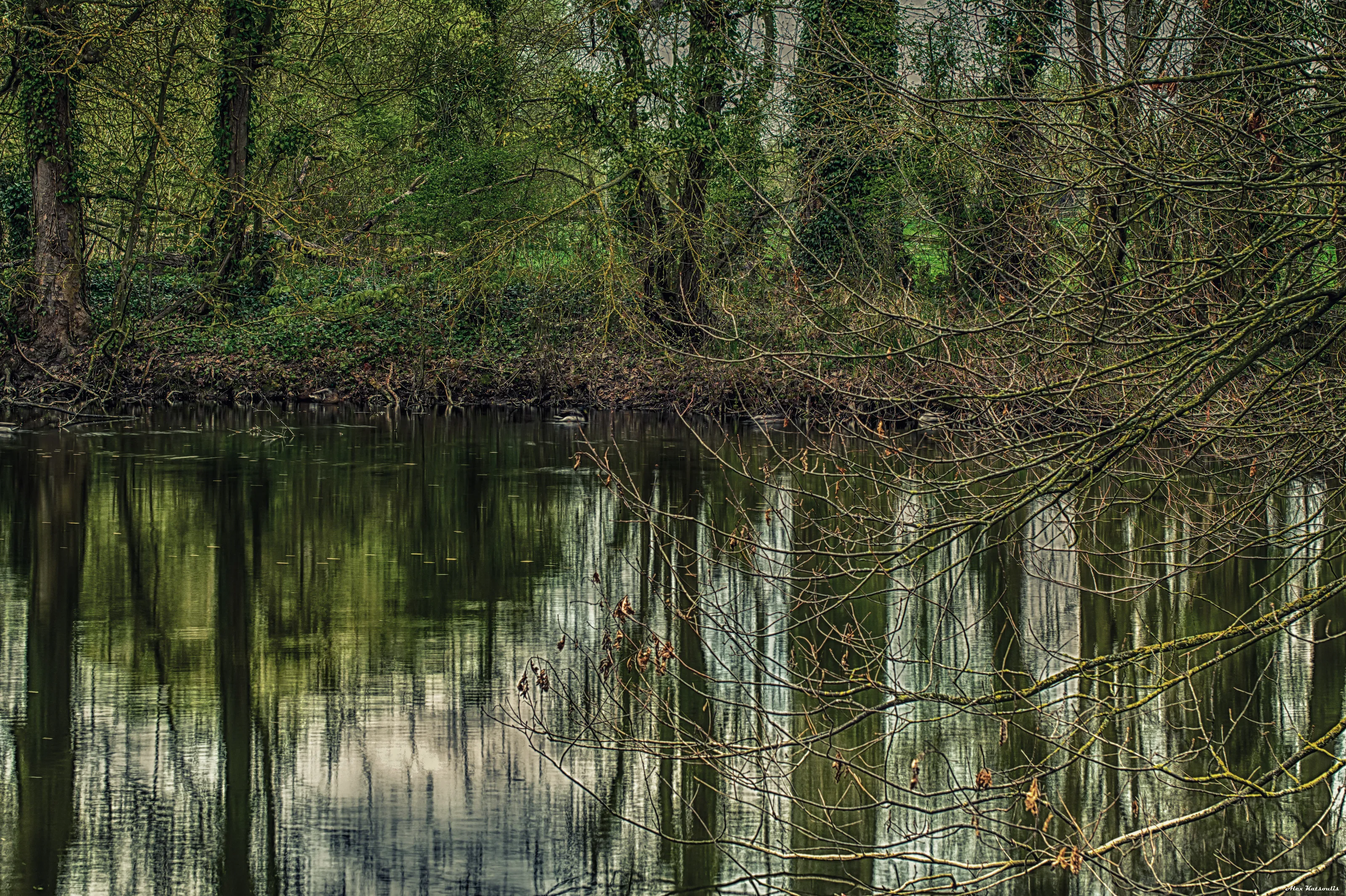 Newells Pond