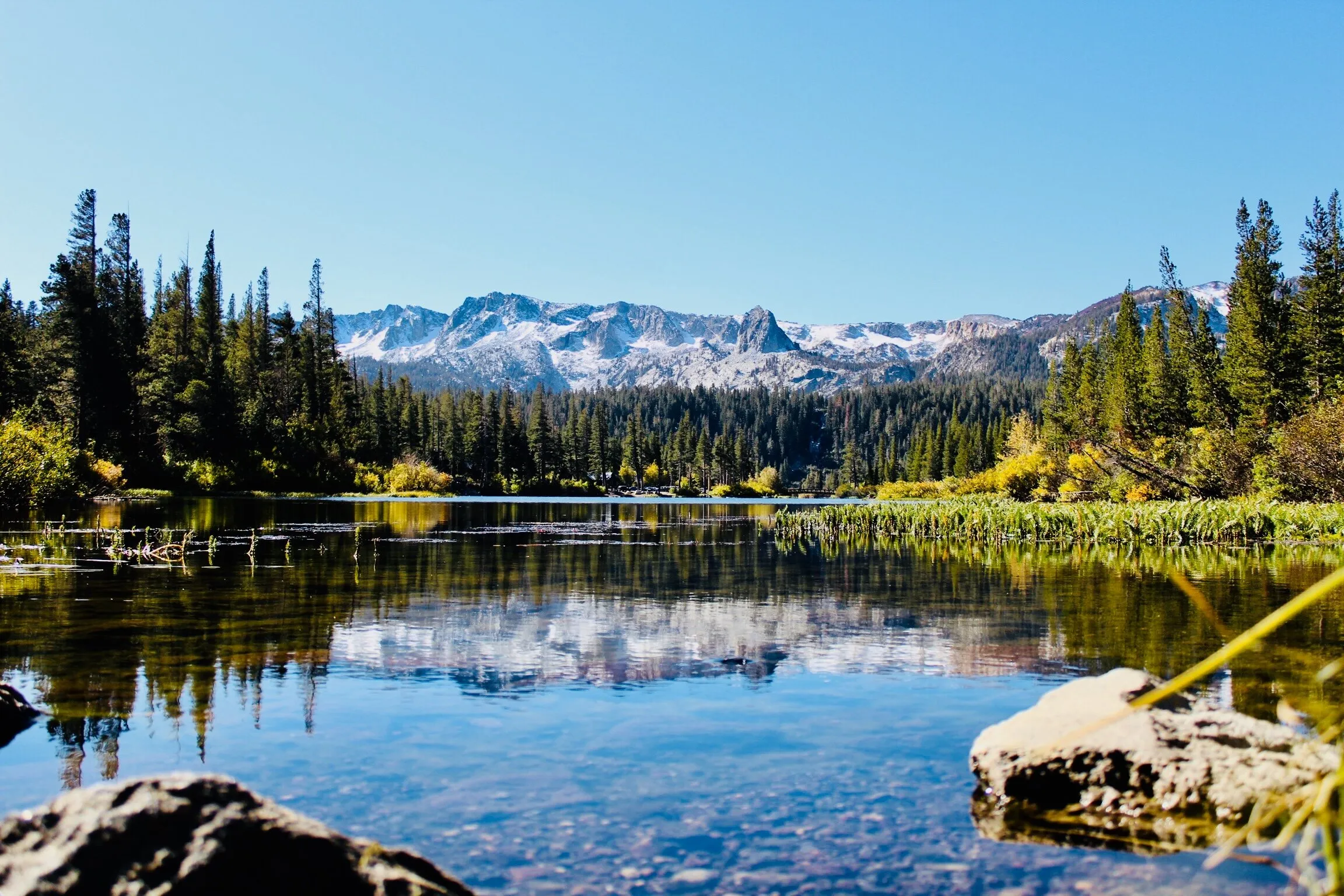 The world beneath our feet. (Mammoth lakes, California USA)