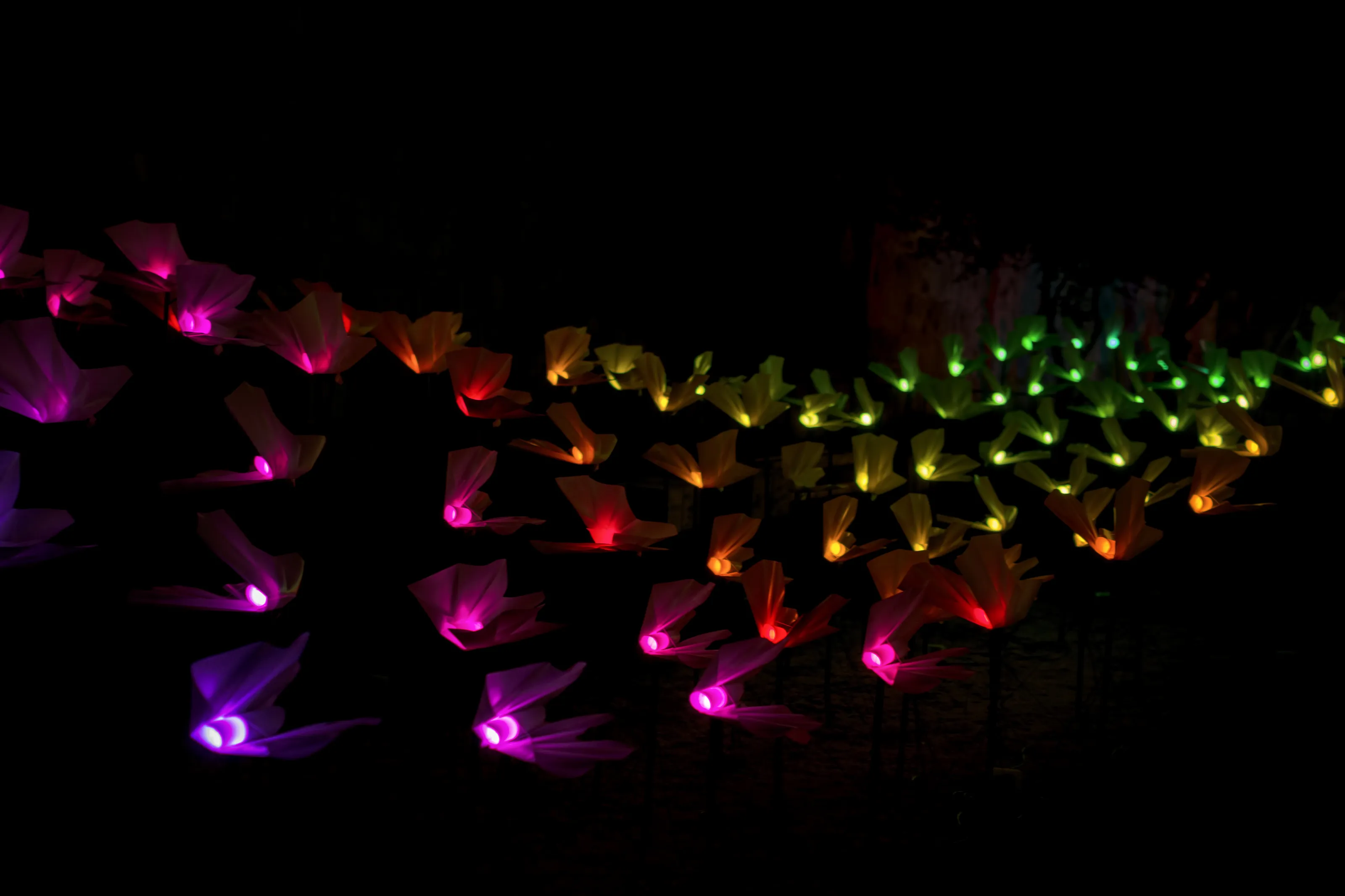 Jerusalem Lights 2018