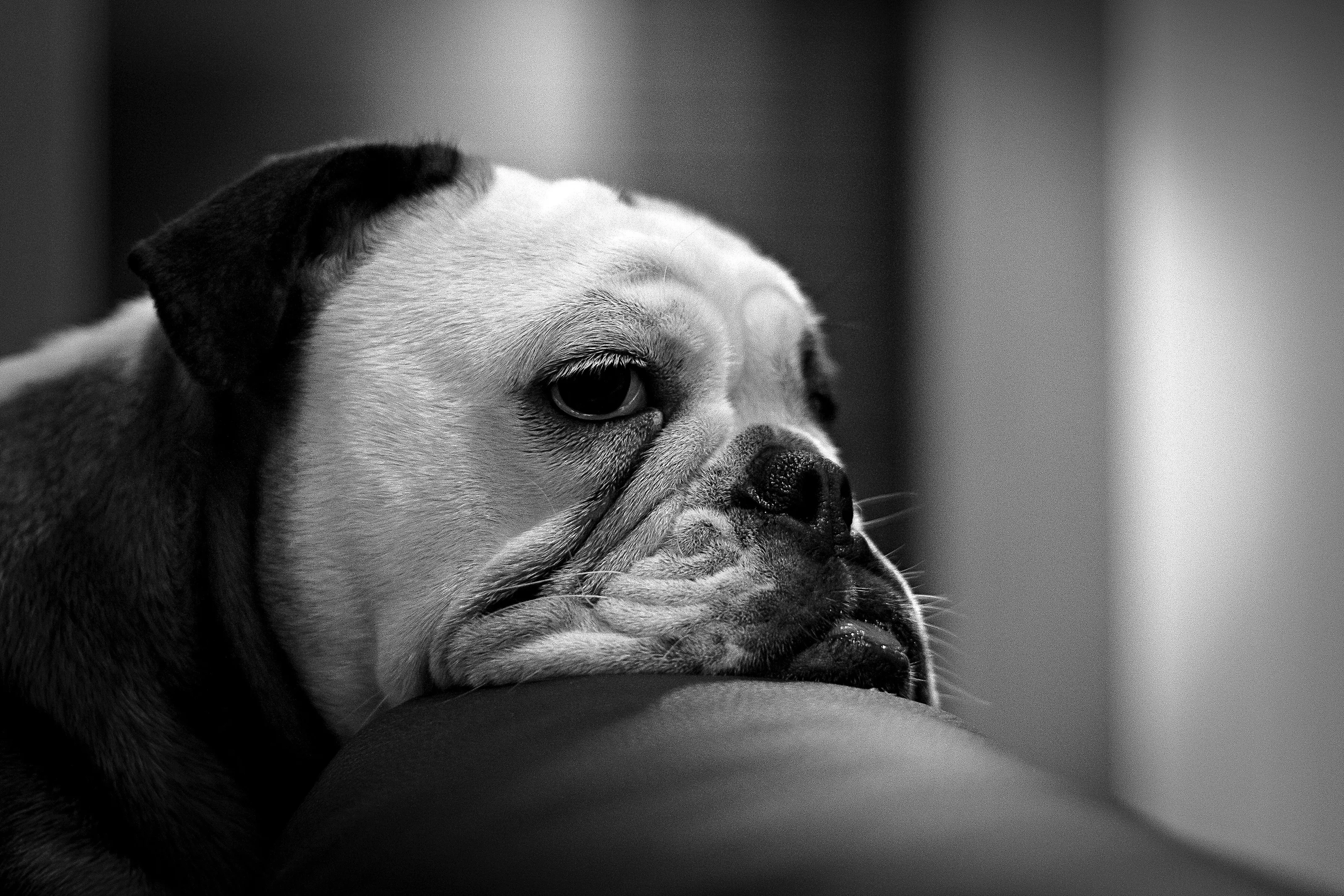 I'm in meditation.