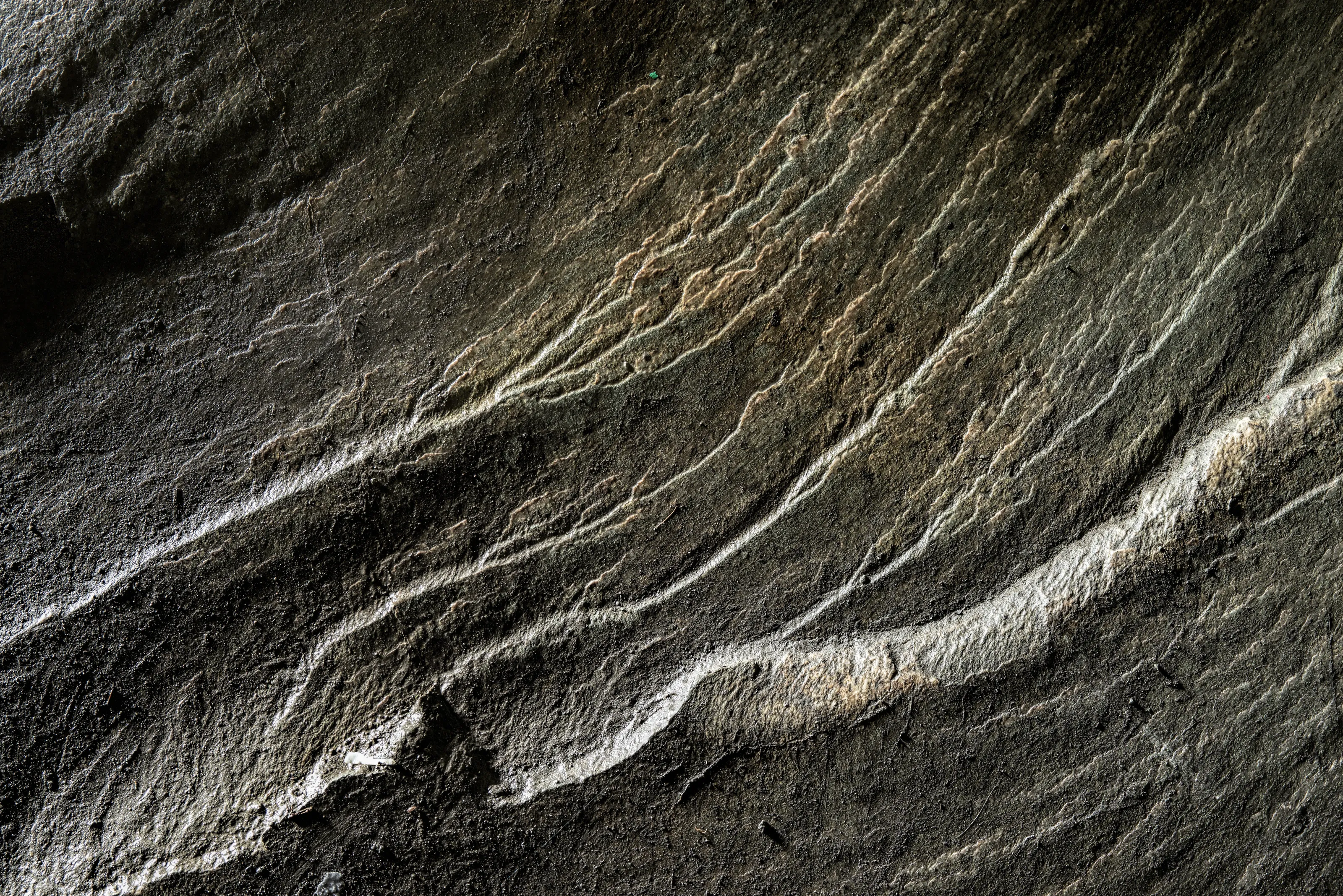 Microcosmic landscape