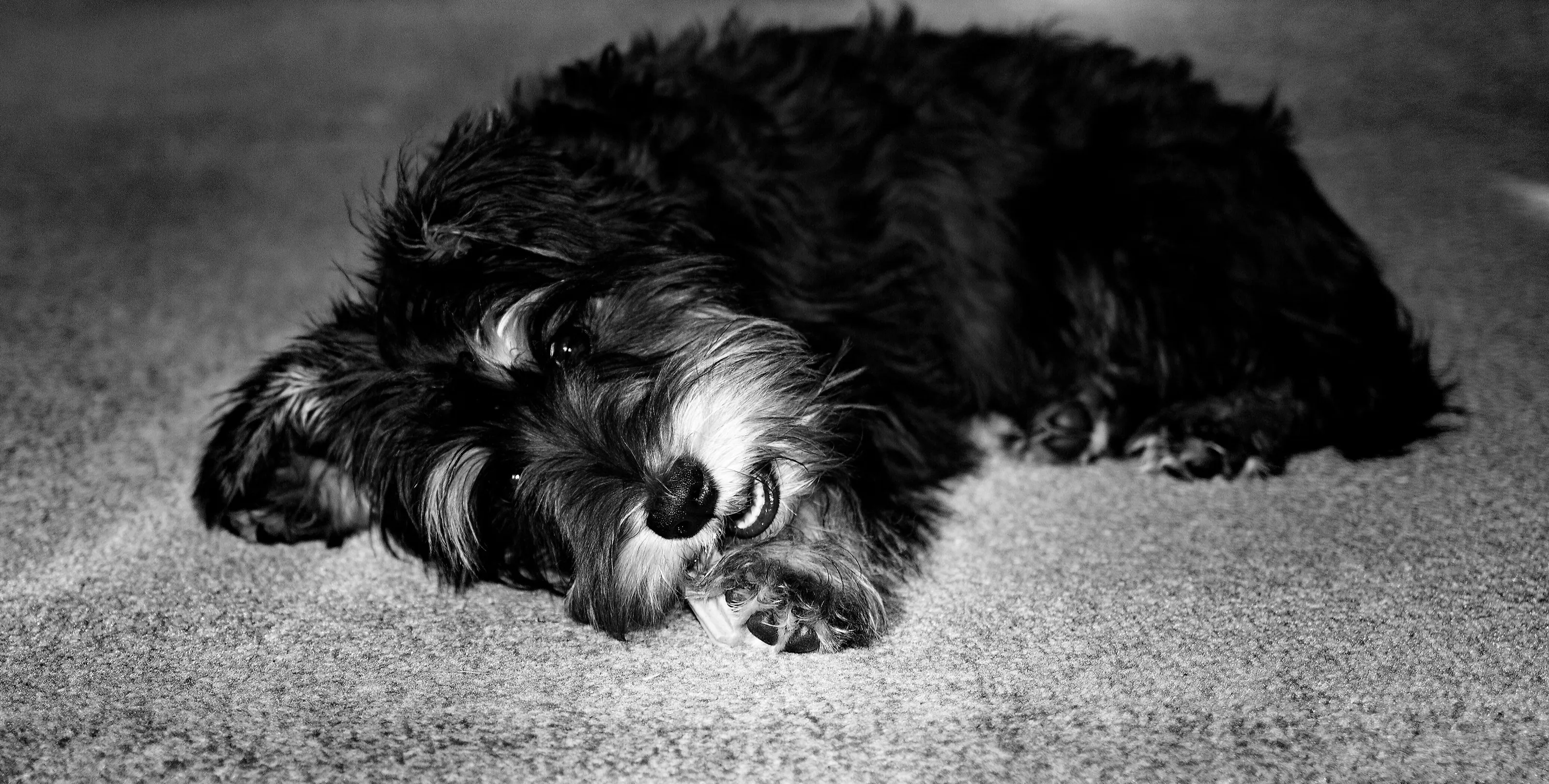 Greta
