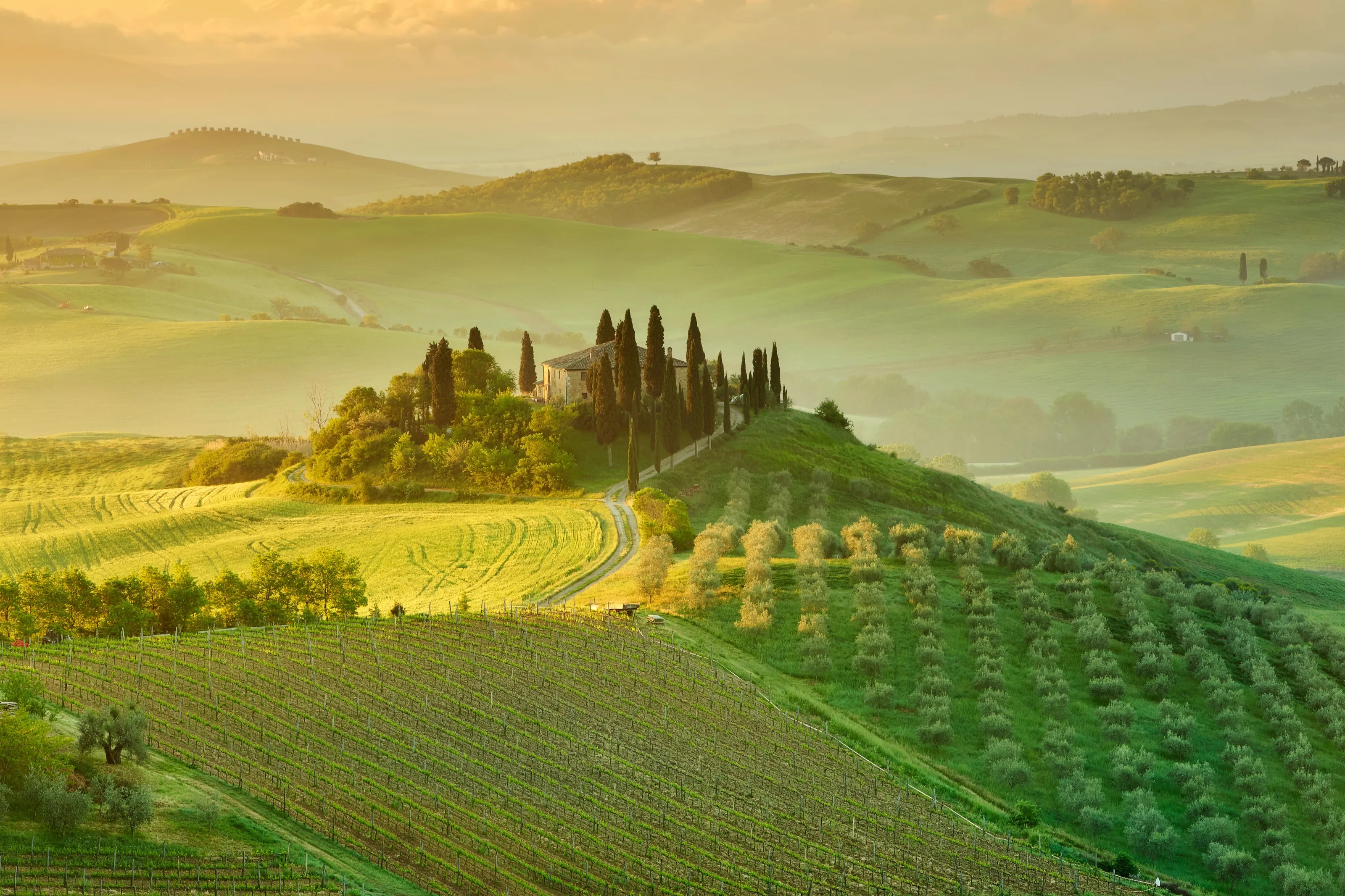 Belvedere