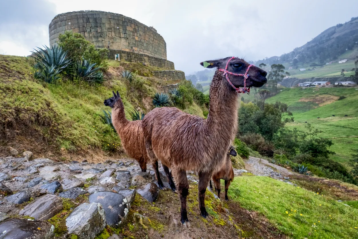 Entry 3992591
