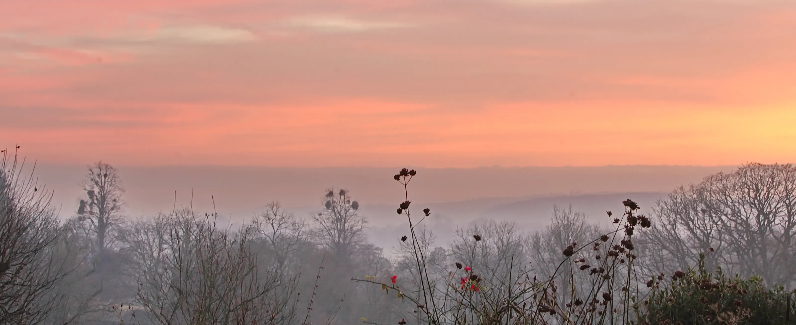 Evening over the Avon